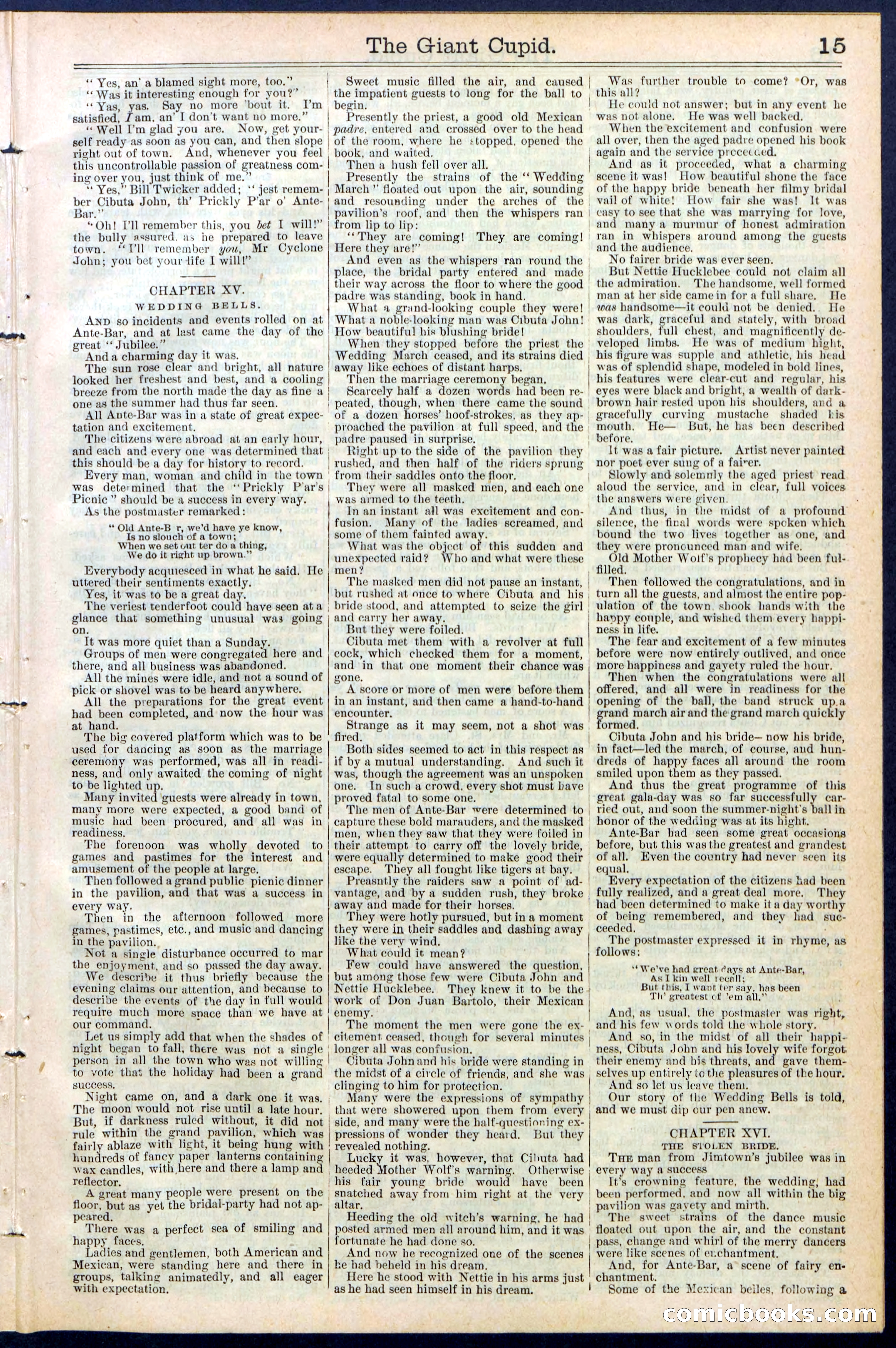 Beadle's New York Dime Library, No. 390 — page 15 of 32