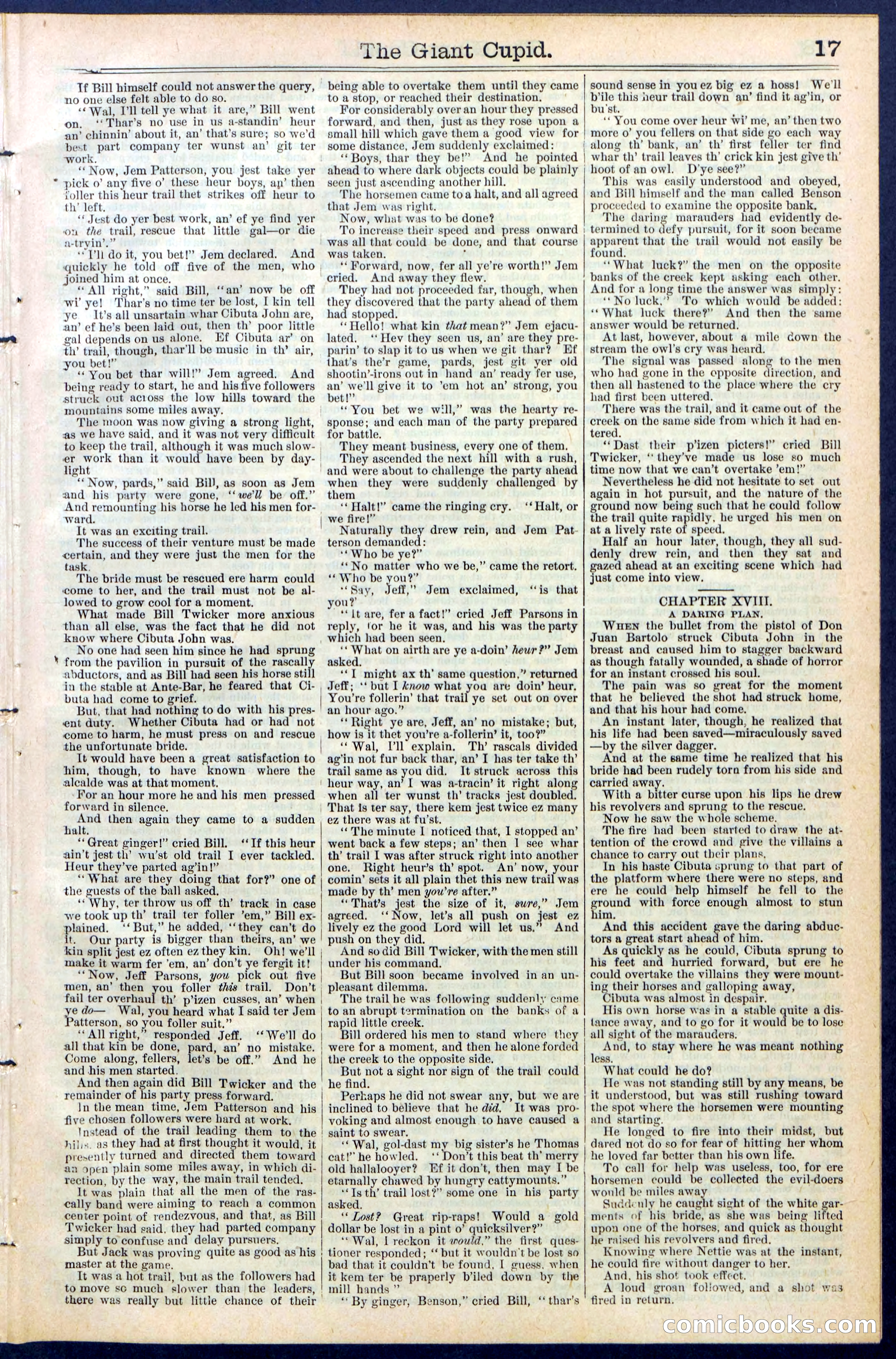 Beadle's New York Dime Library, No. 390 — page 17 of 32