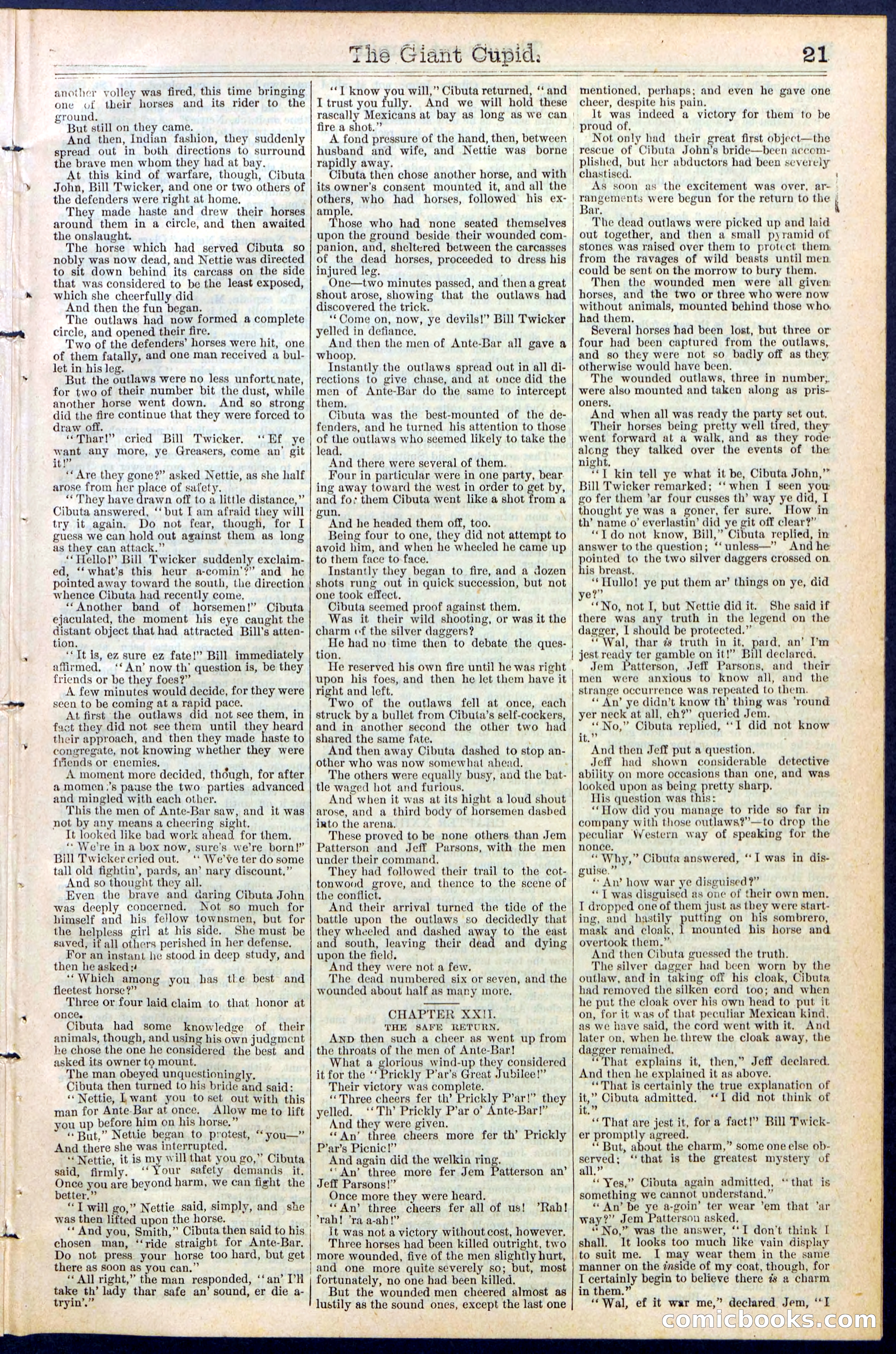 Beadle's New York Dime Library, No. 390 — page 21 of 32