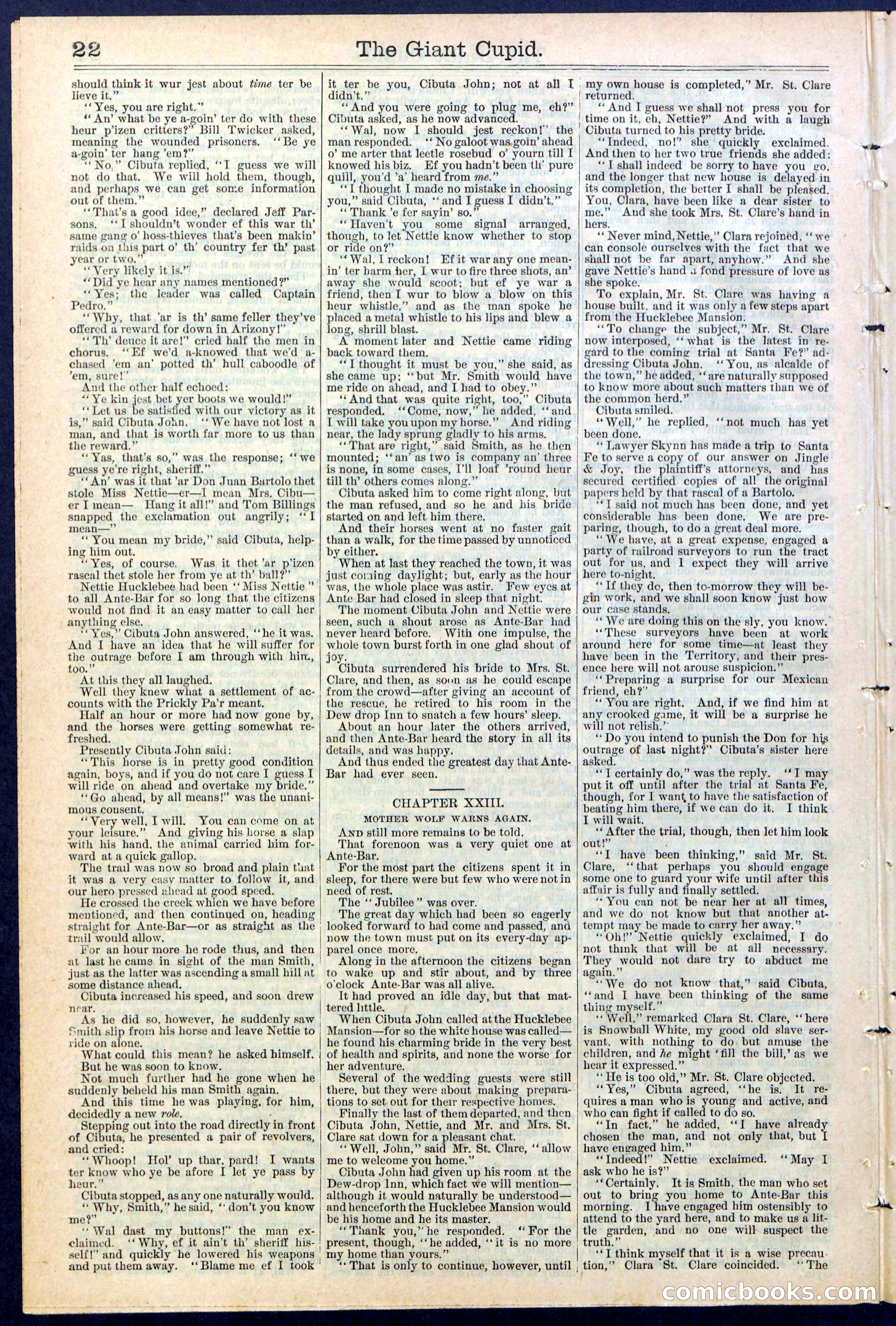 Beadle's New York Dime Library, No. 390 — page 22 of 32
