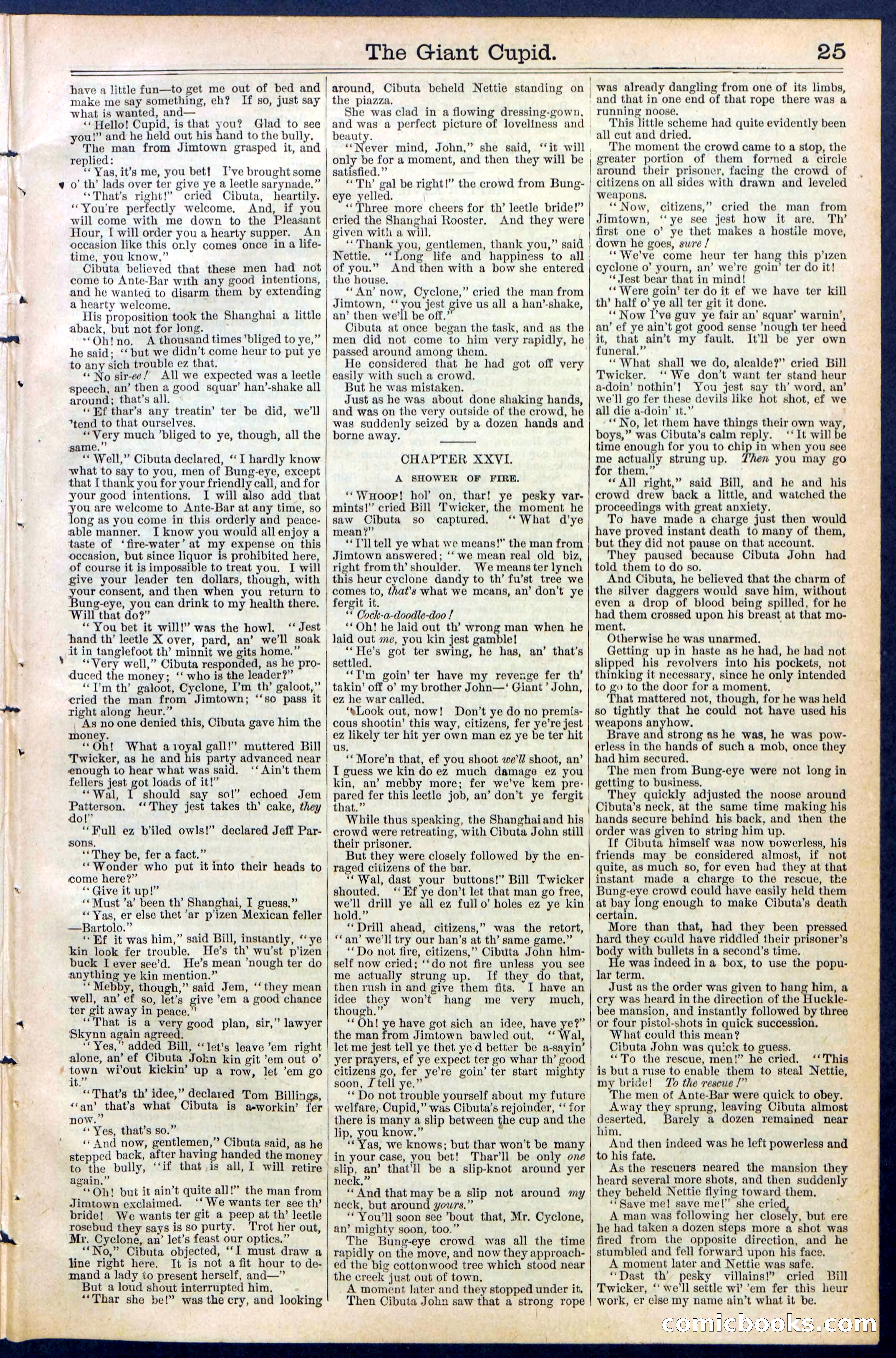 Beadle's New York Dime Library, No. 390 — page 25 of 32