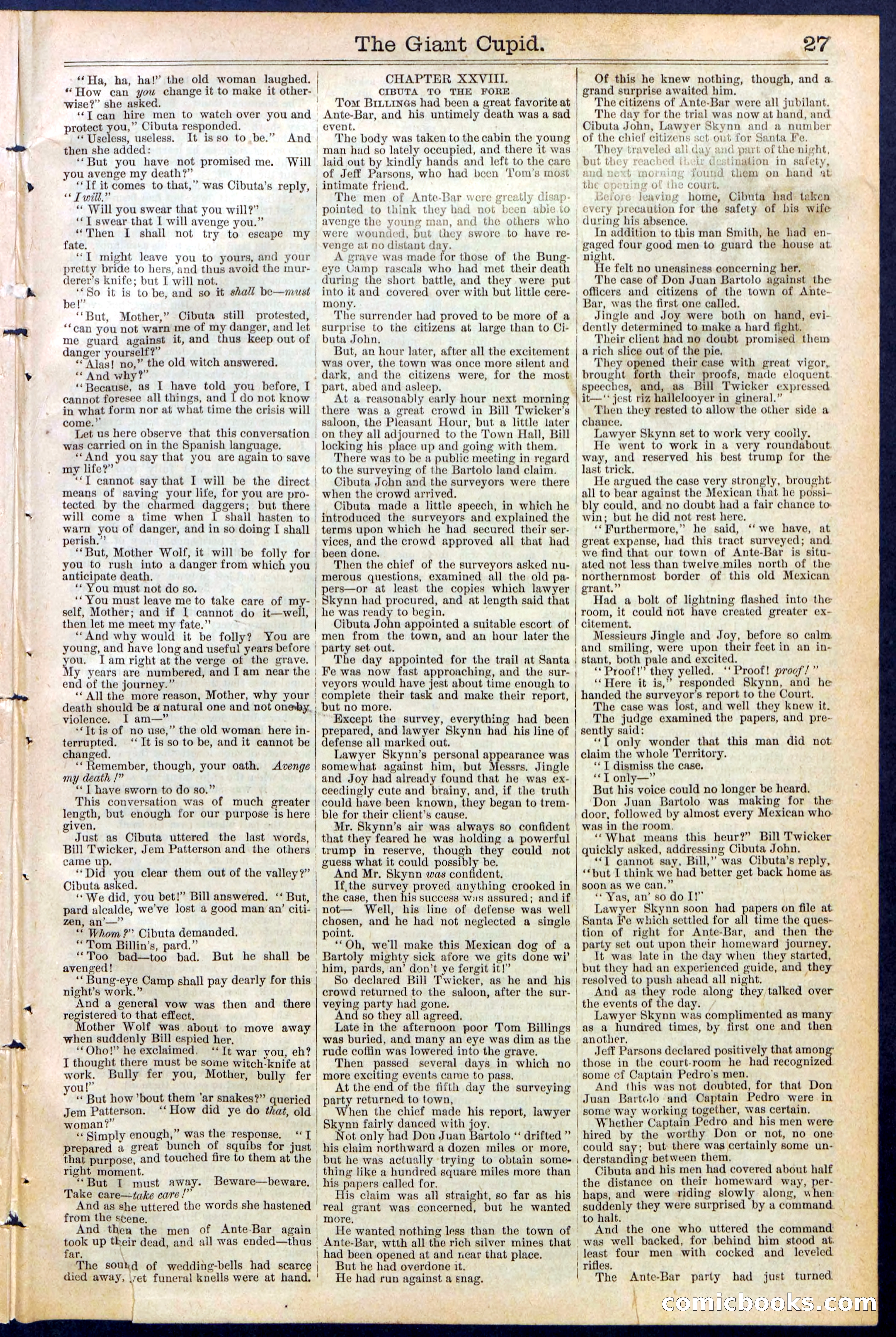 Beadle's New York Dime Library, No. 390 — page 27 of 32