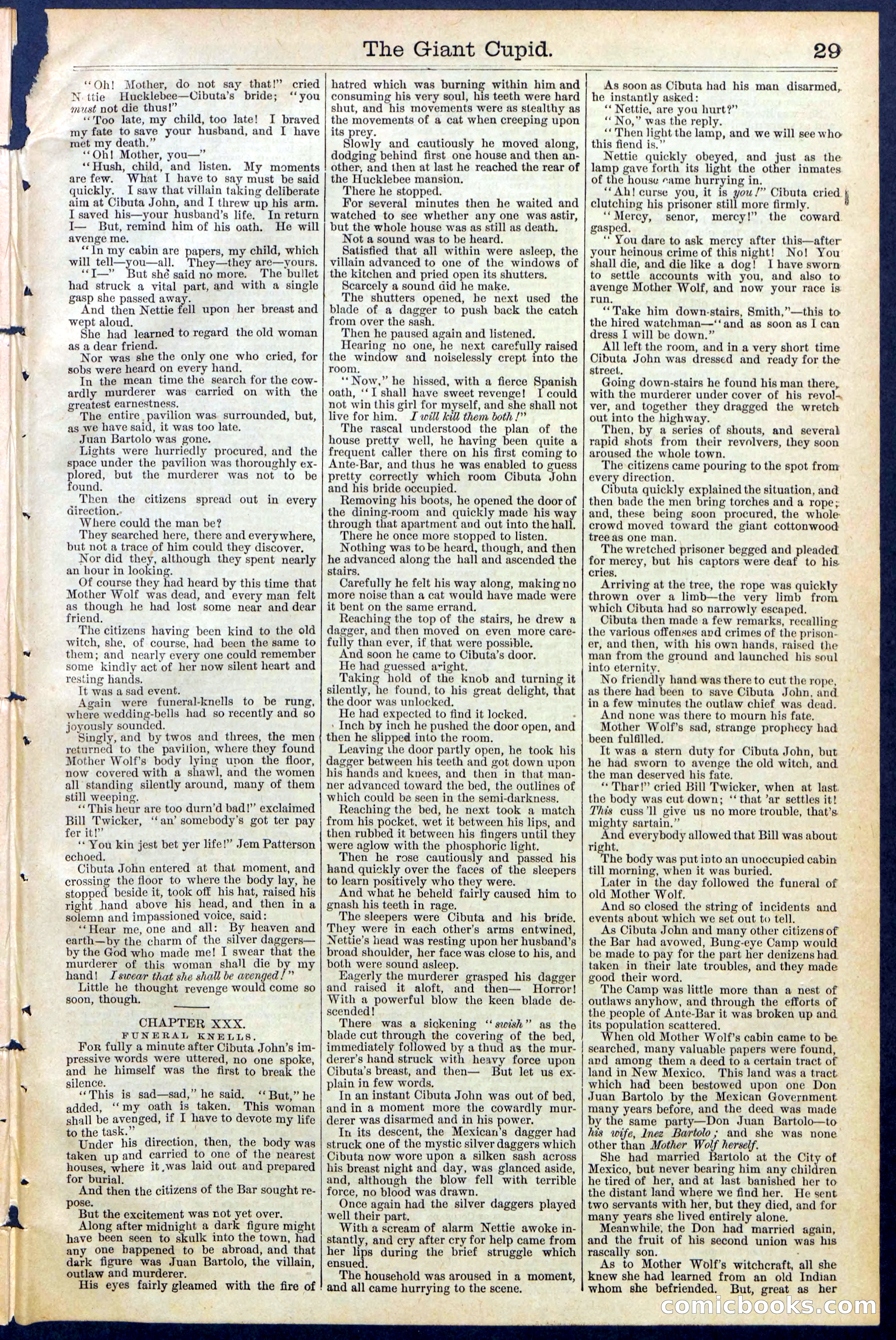 Beadle's New York Dime Library, No. 390 — page 29 of 32