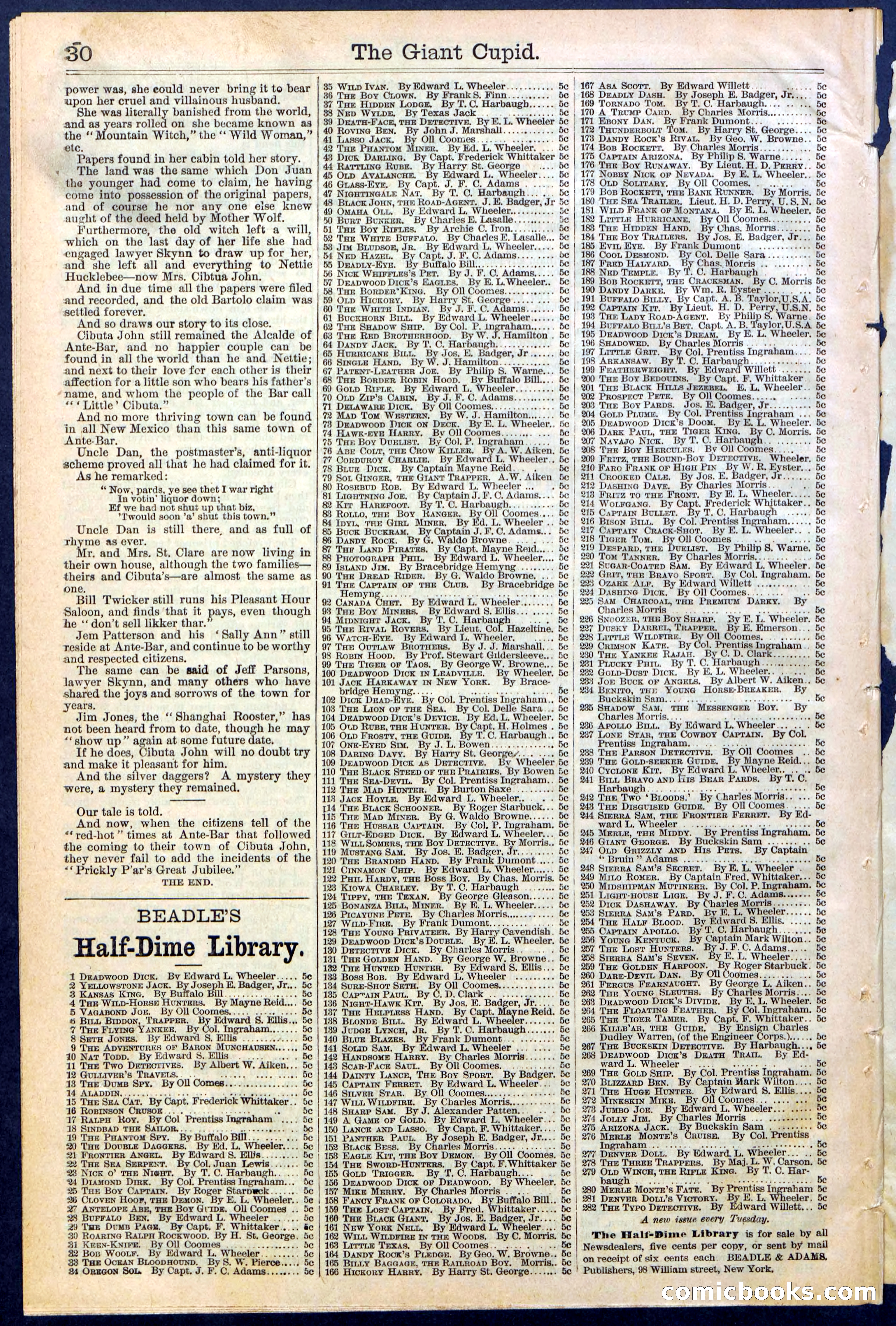 Beadle's New York Dime Library, No. 390 — page 30 of 32