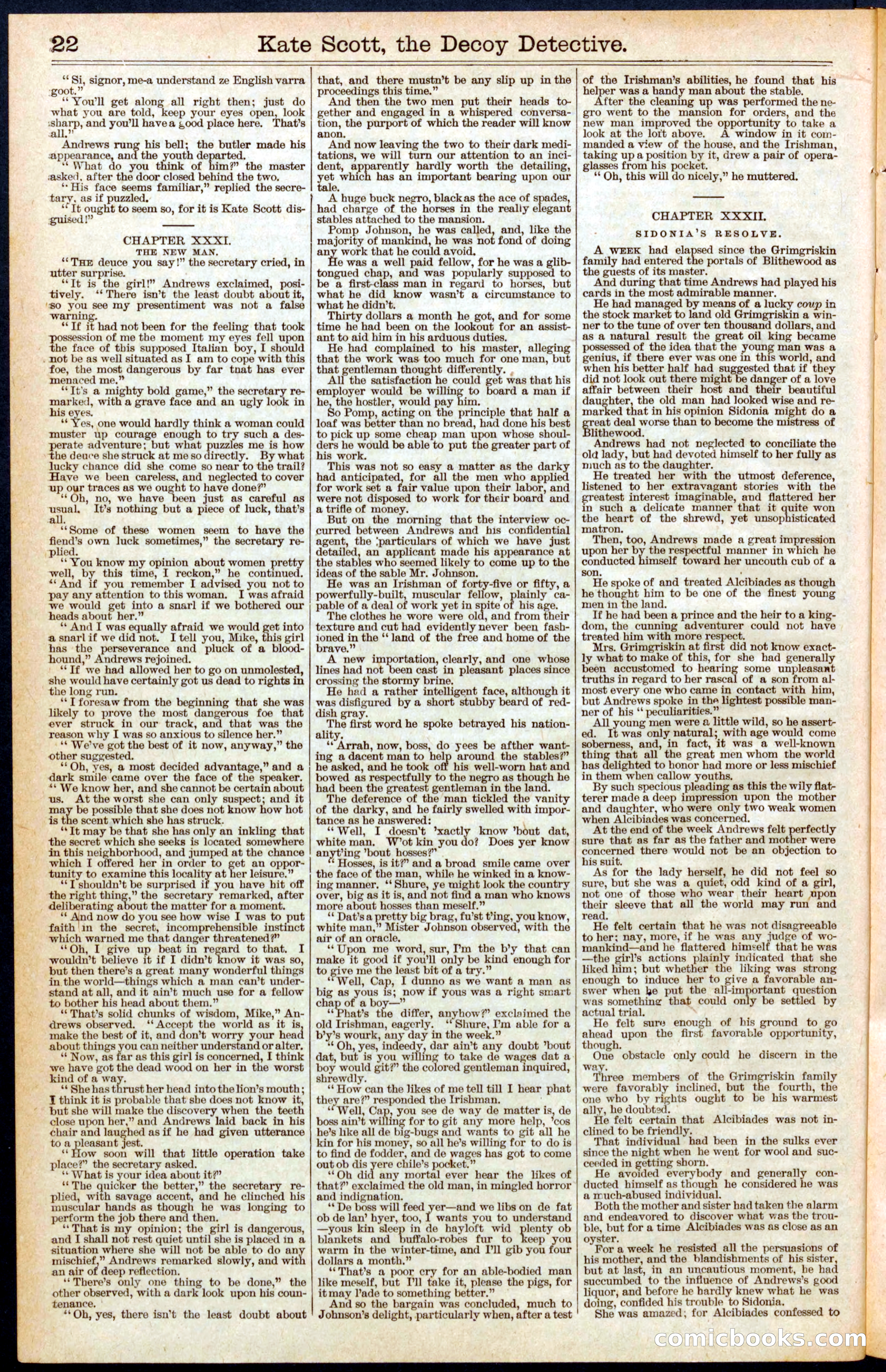 Beadle's Dime Library No. 391 — page 22 of 32