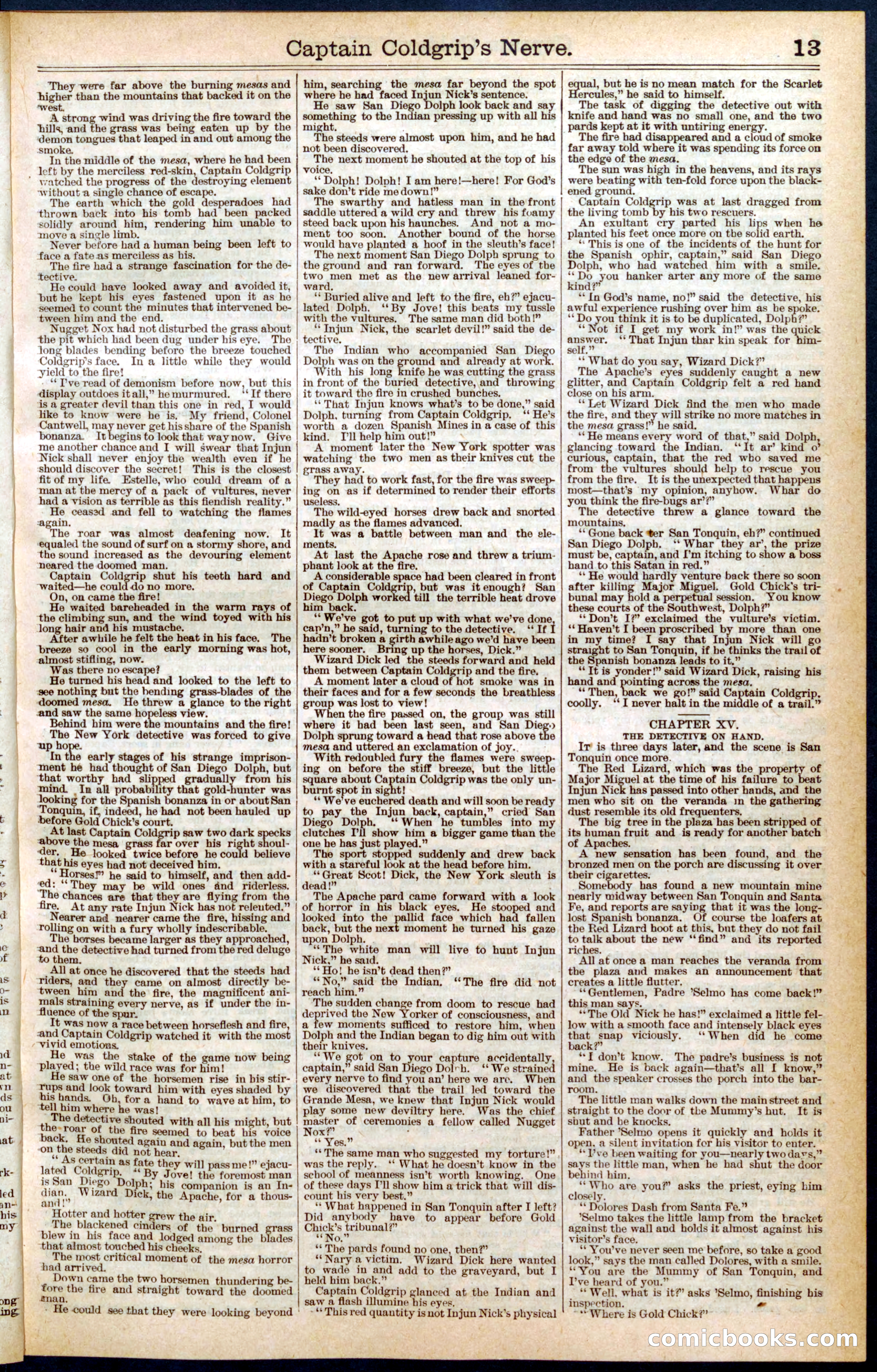 Beadle's Dime Library No. 407 — page 13 of 32
