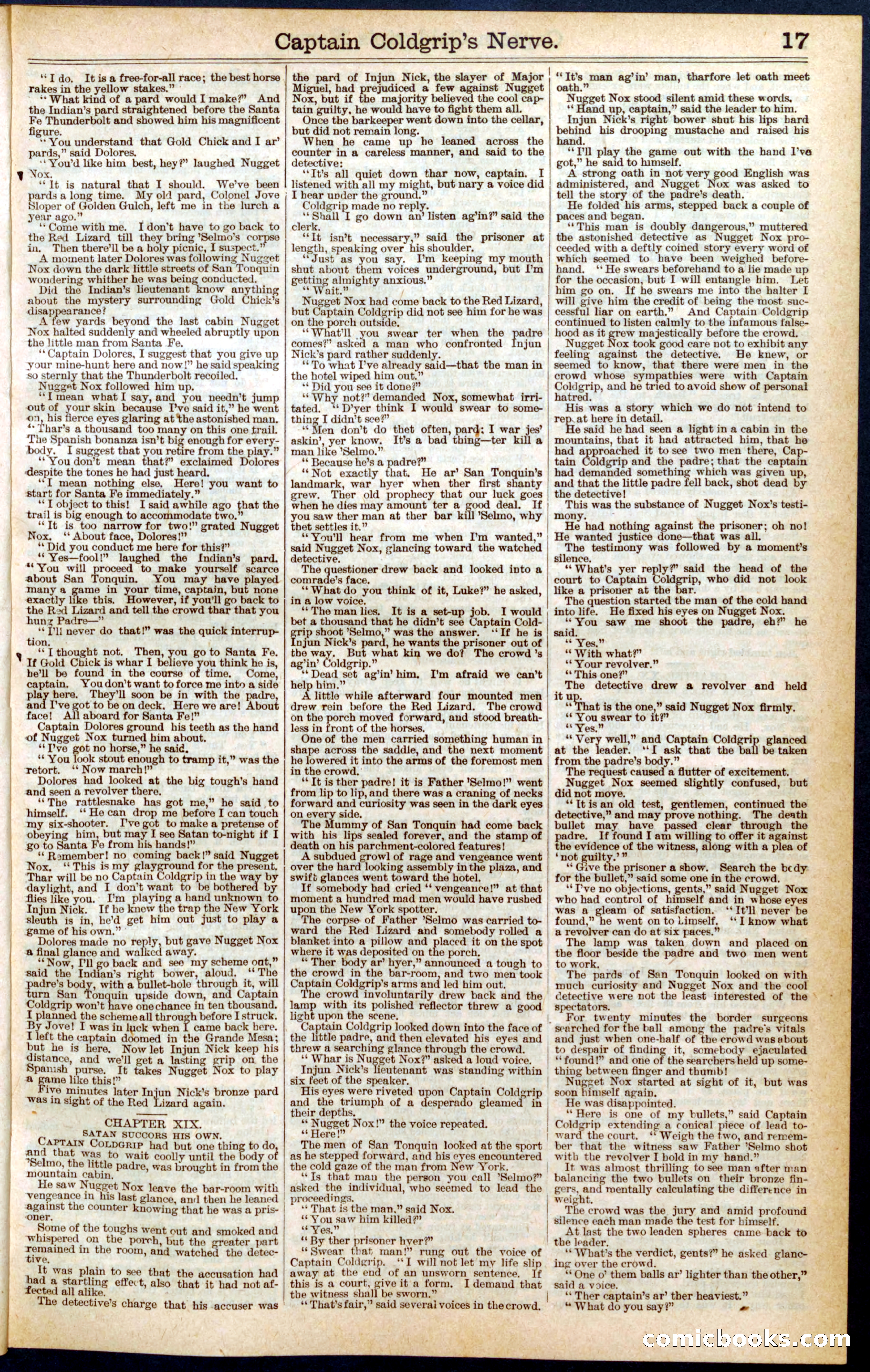 Beadle's Dime Library No. 407 — page 17 of 32