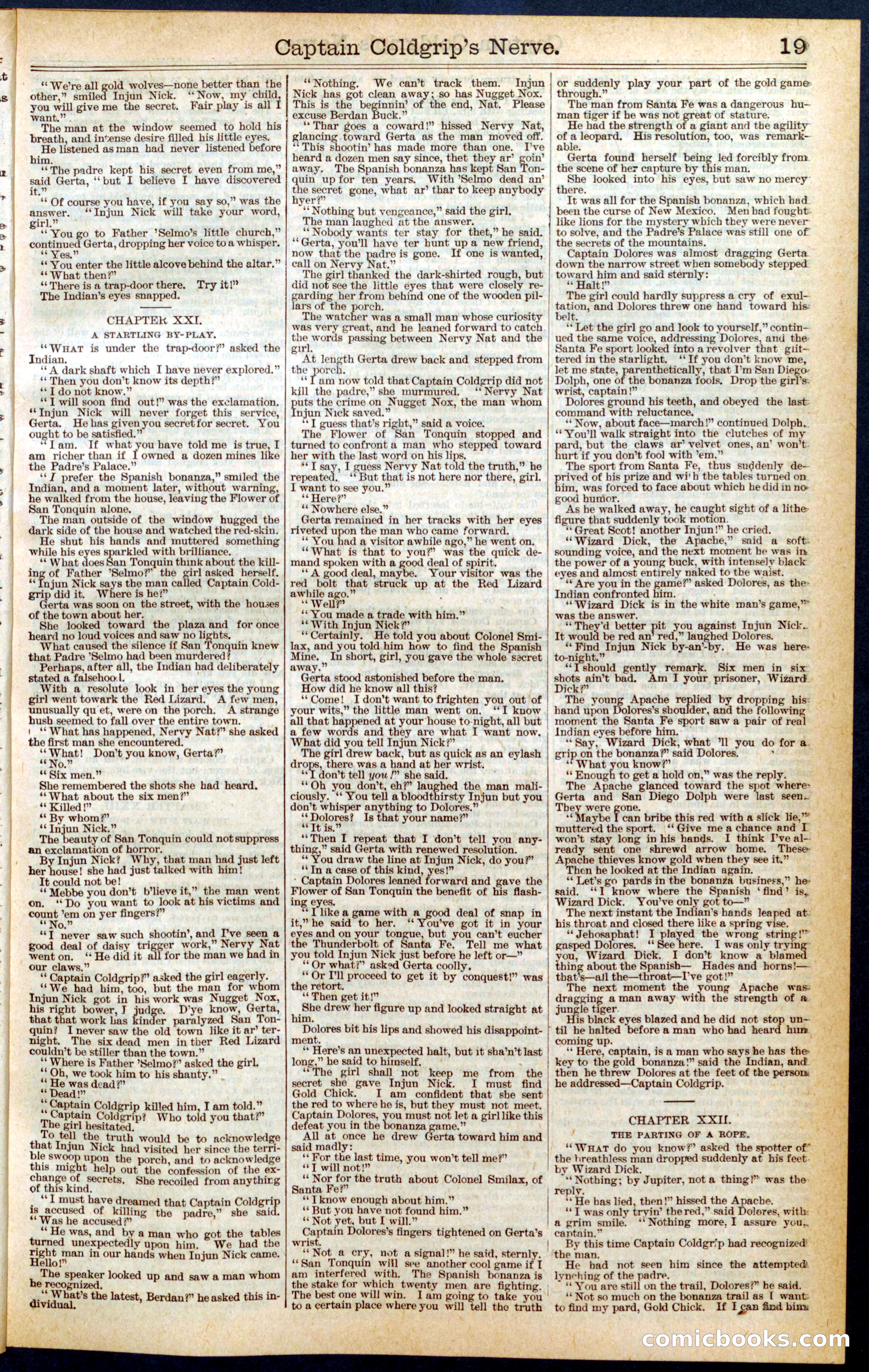 Beadle's Dime Library No. 407 — page 19 of 32