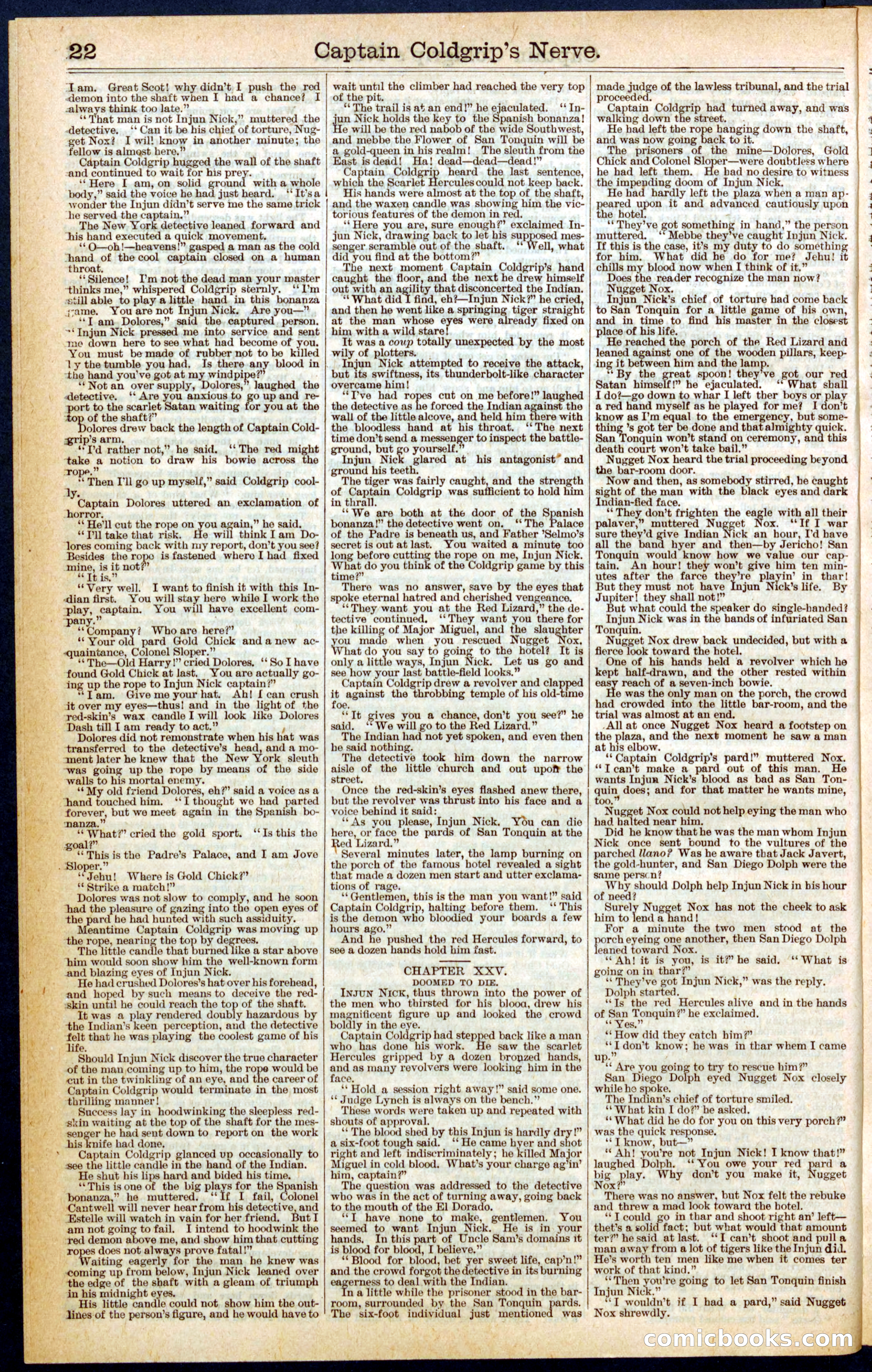 Beadle's Dime Library No. 407 — page 22 of 32