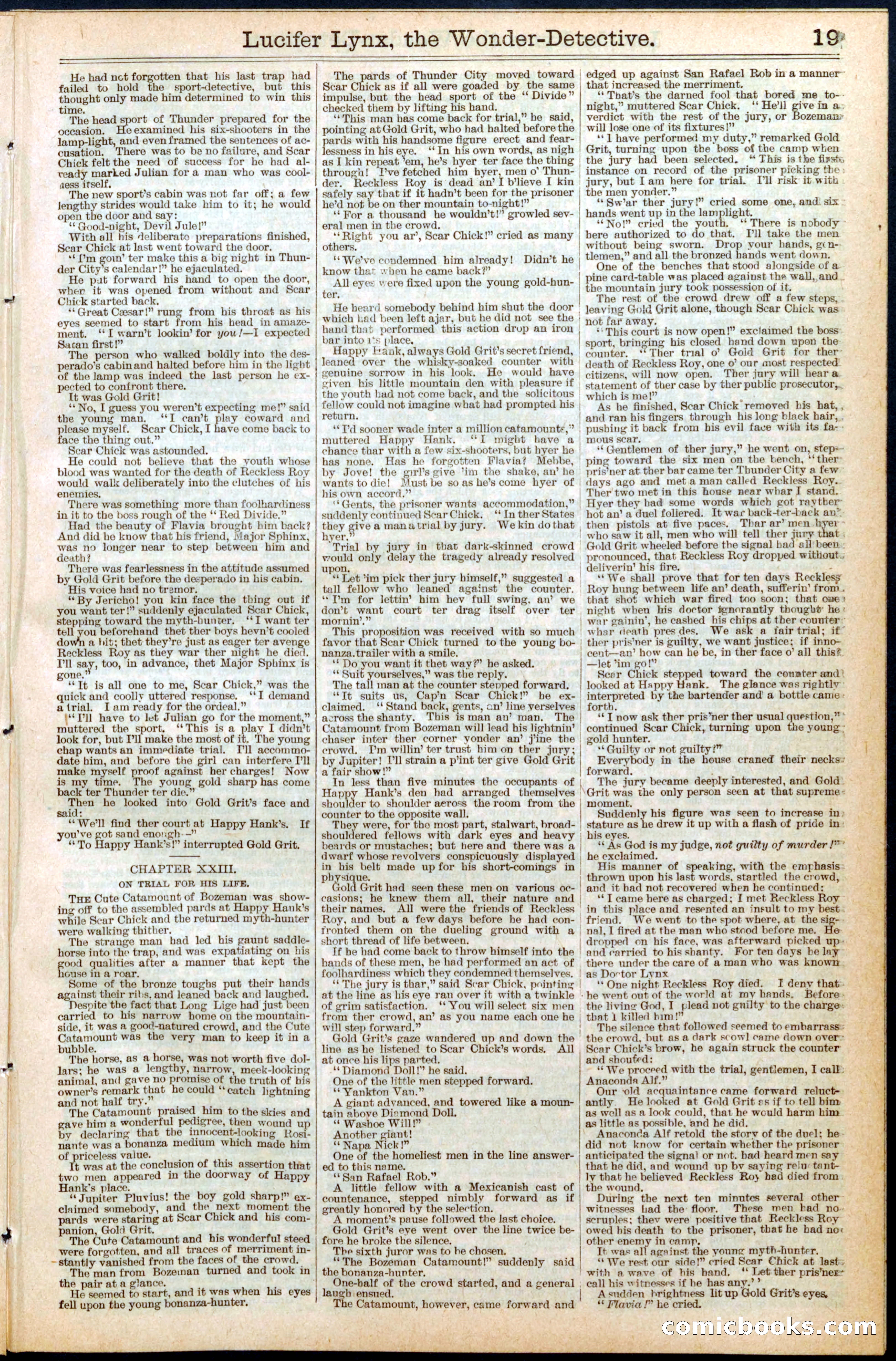 Beadle's New York Dime Library, No. 434 — page 19 of 32
