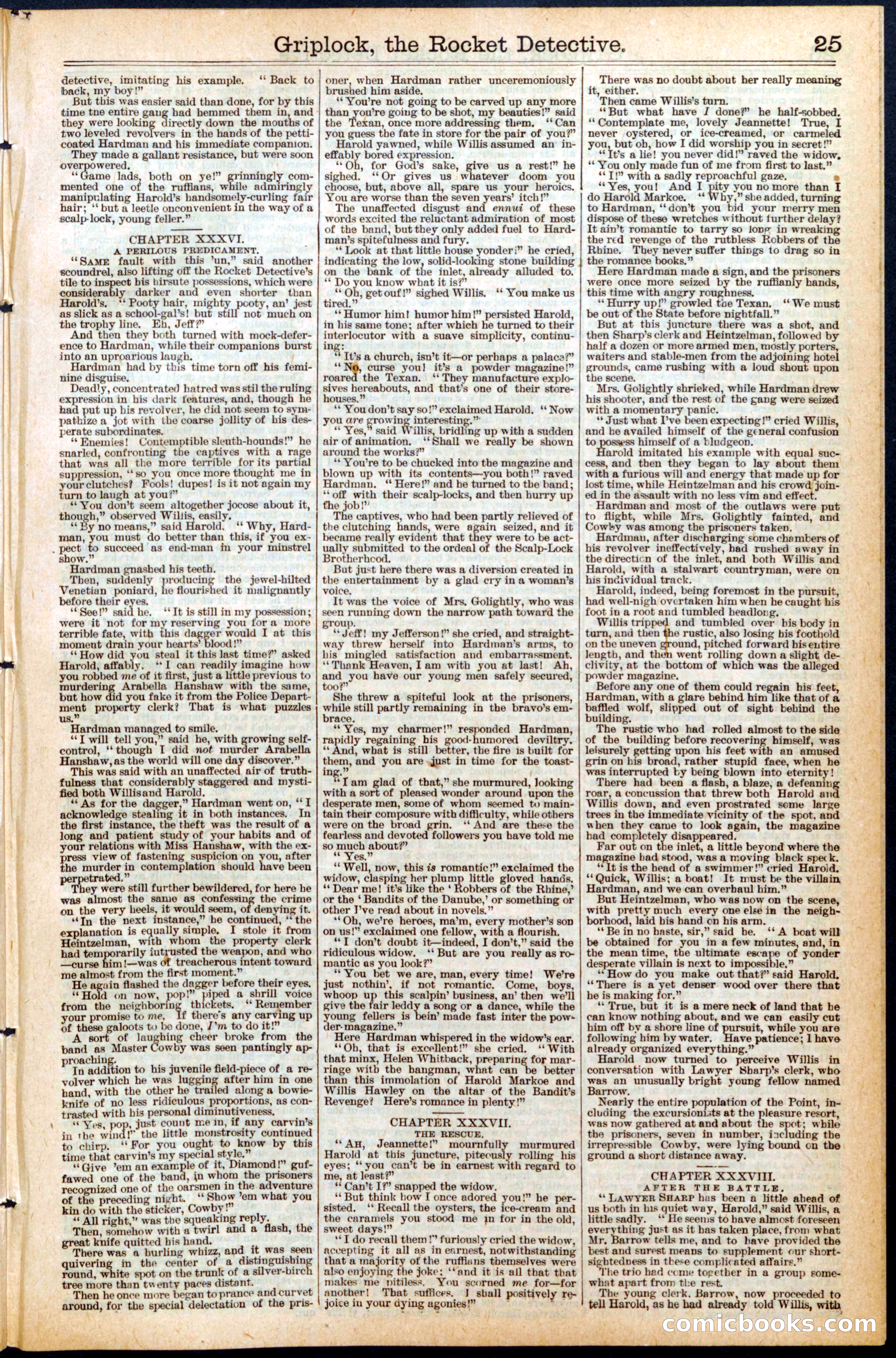 Beadle's Dime Library No. 451 — page 25 of 32