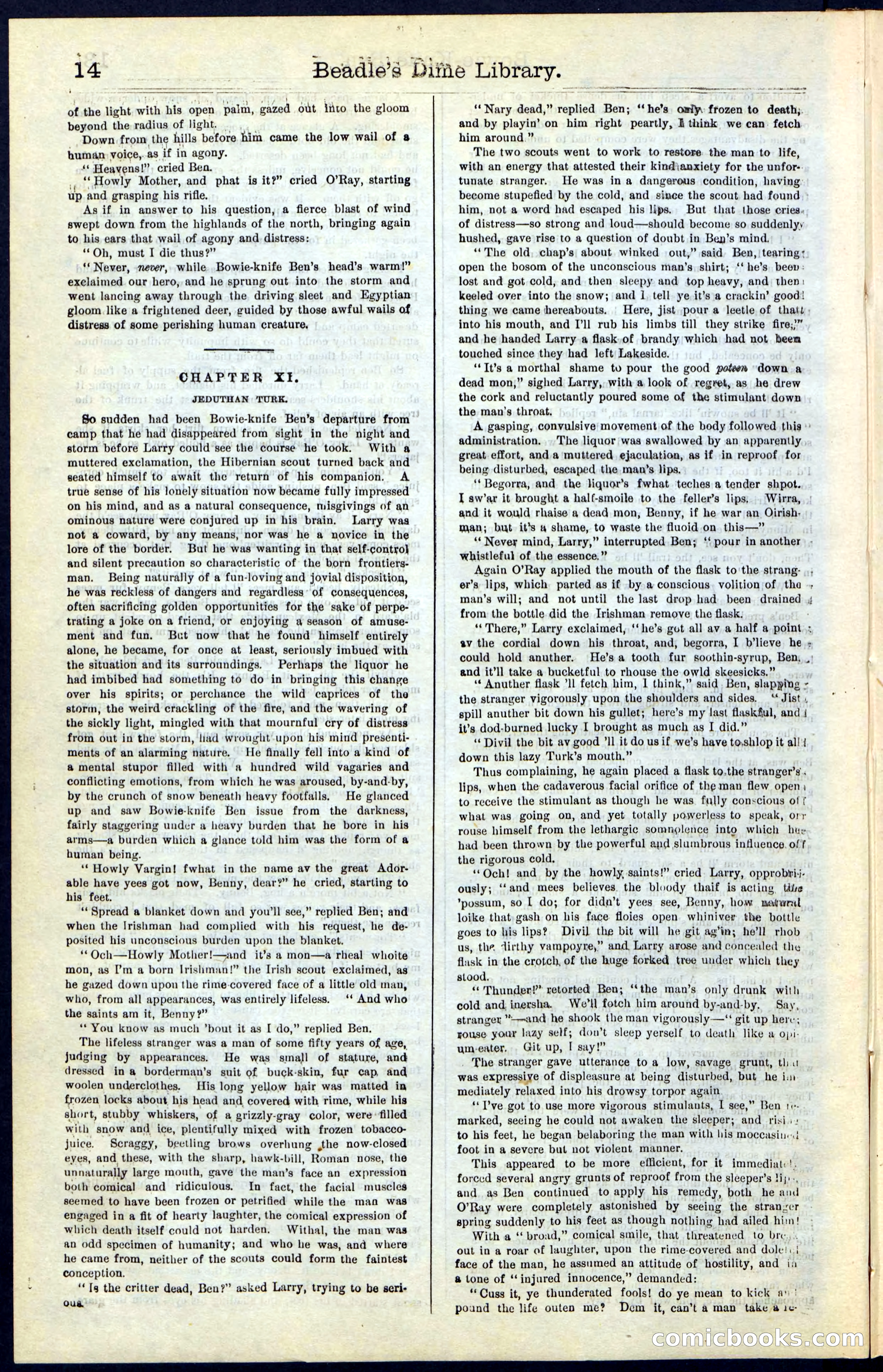 Beadle's New York Dime Library, Vol. IV, No. 46 — page 14 of 40