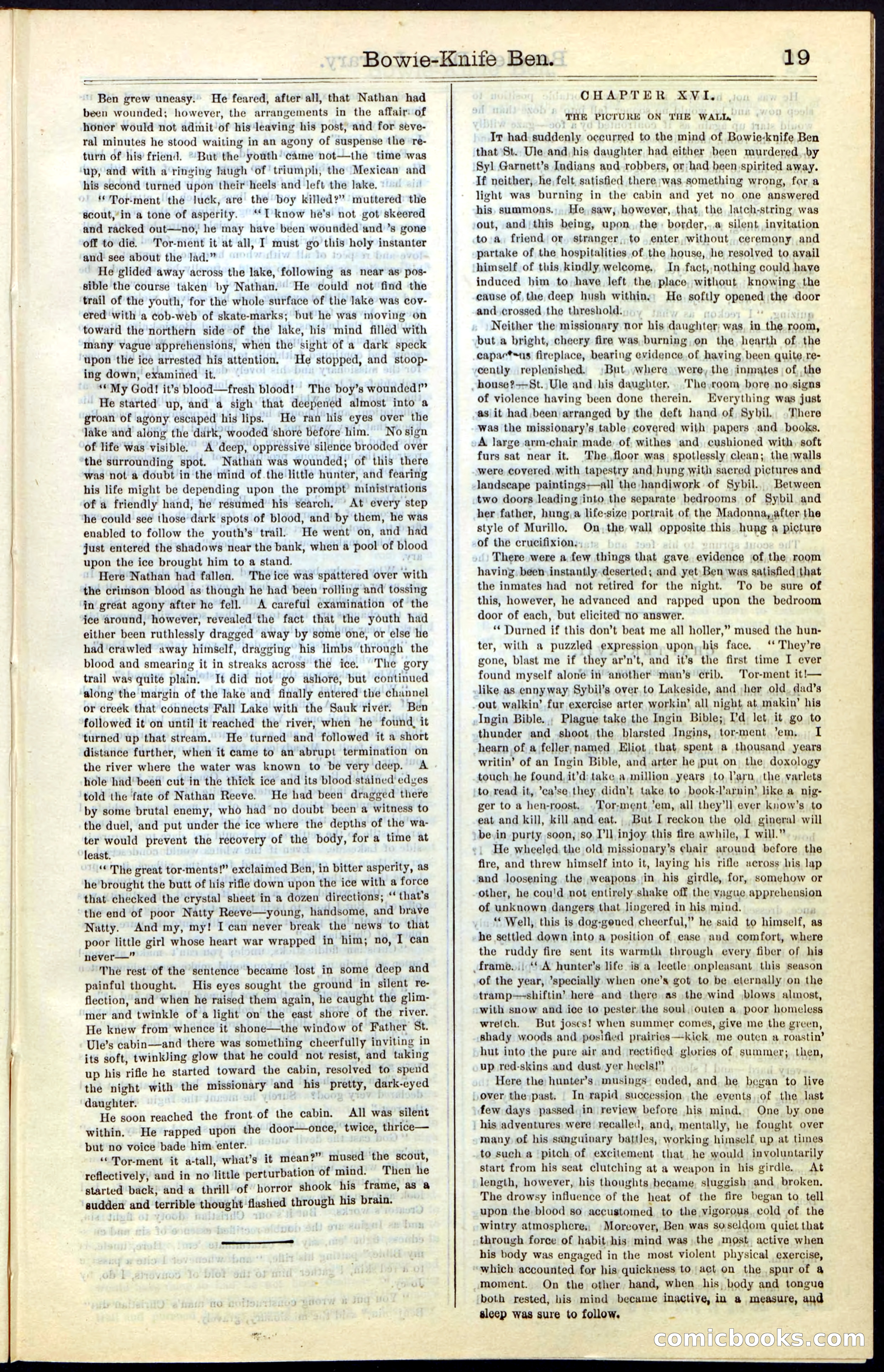 Beadle's New York Dime Library, Vol. IV, No. 46 — page 19 of 40