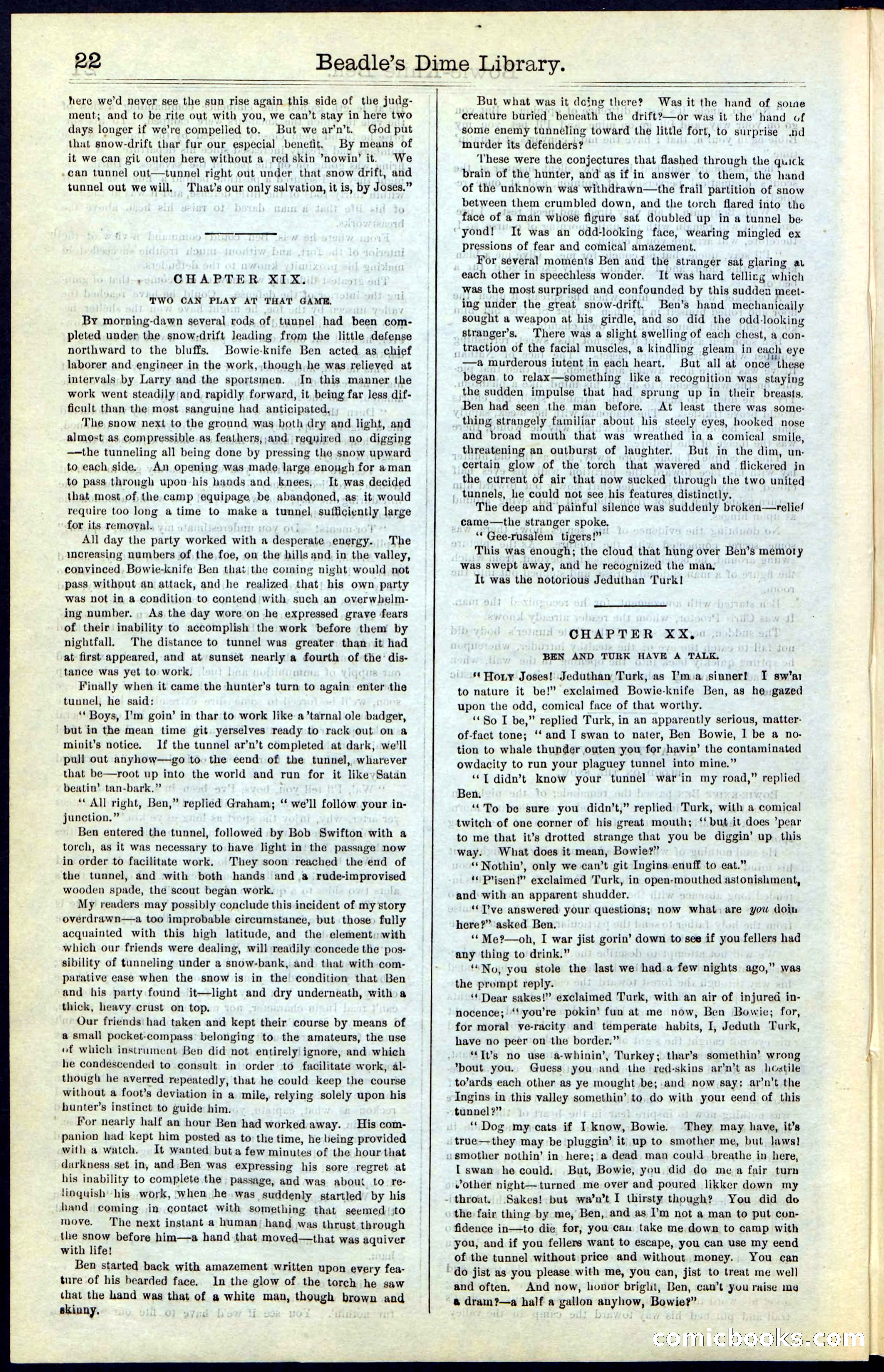 Beadle's New York Dime Library, Vol. IV, No. 46 — page 22 of 40