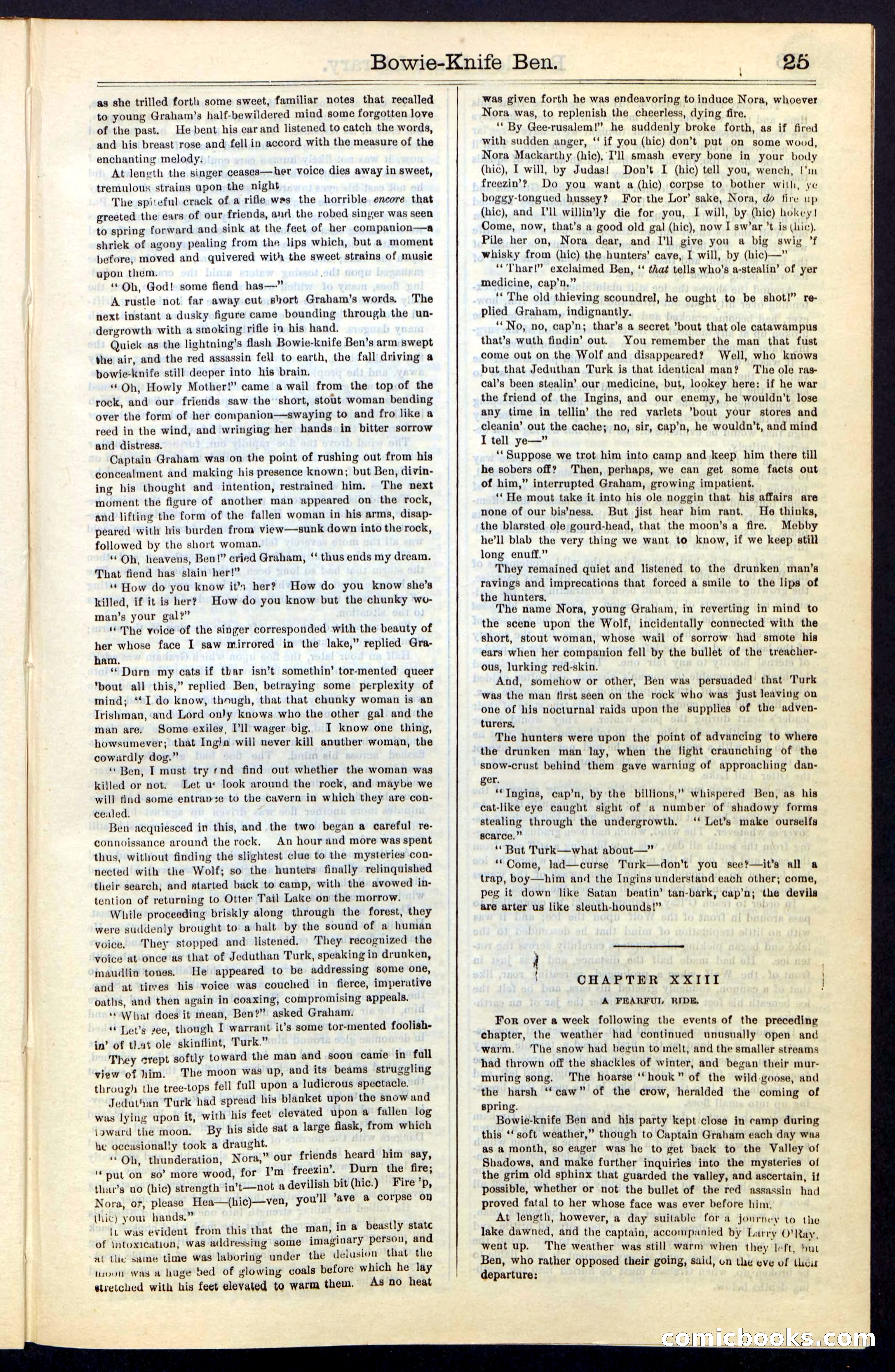 Beadle's New York Dime Library, Vol. IV, No. 46 — page 25 of 40