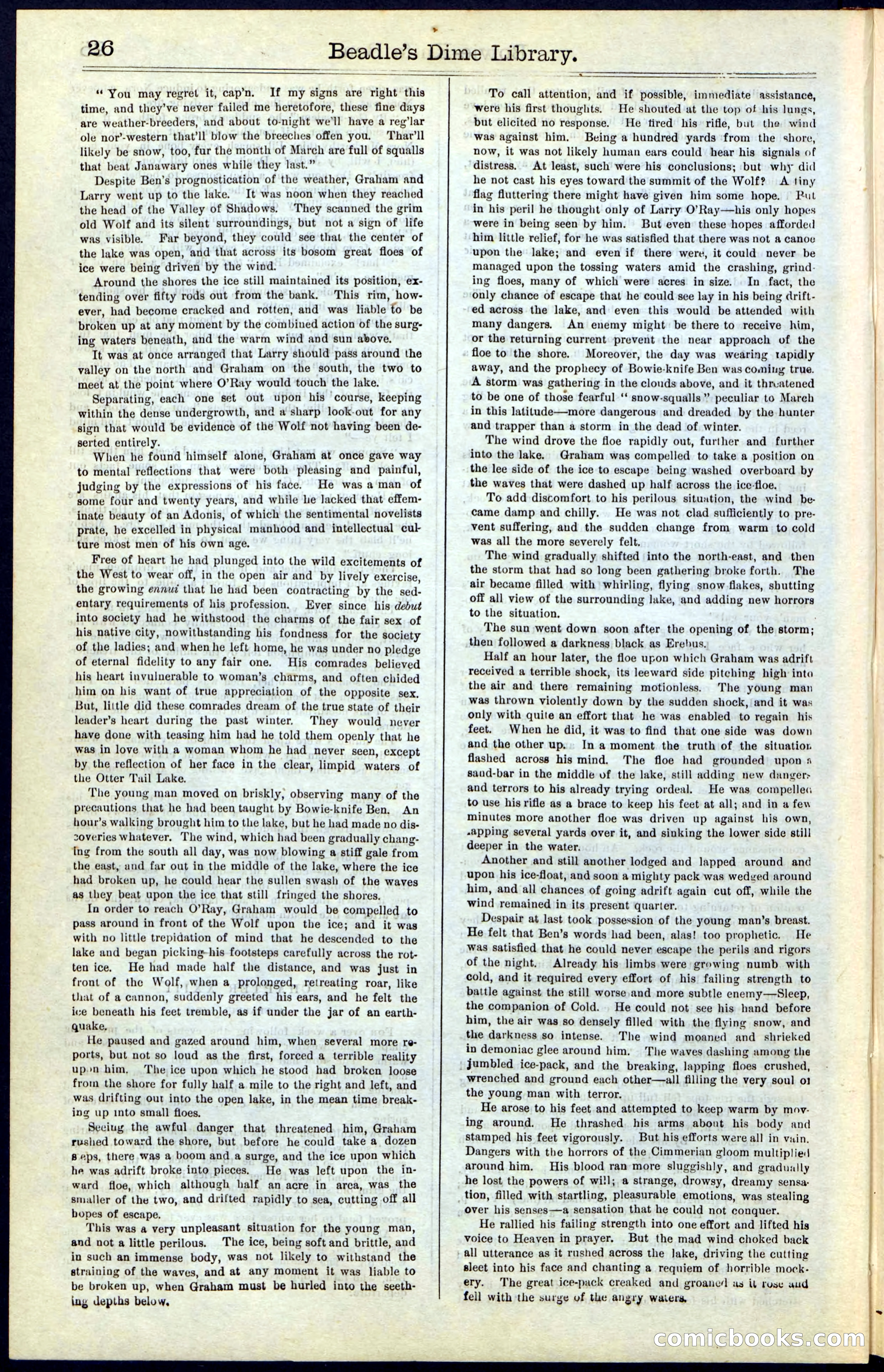 Beadle's New York Dime Library, Vol. IV, No. 46 — page 26 of 40