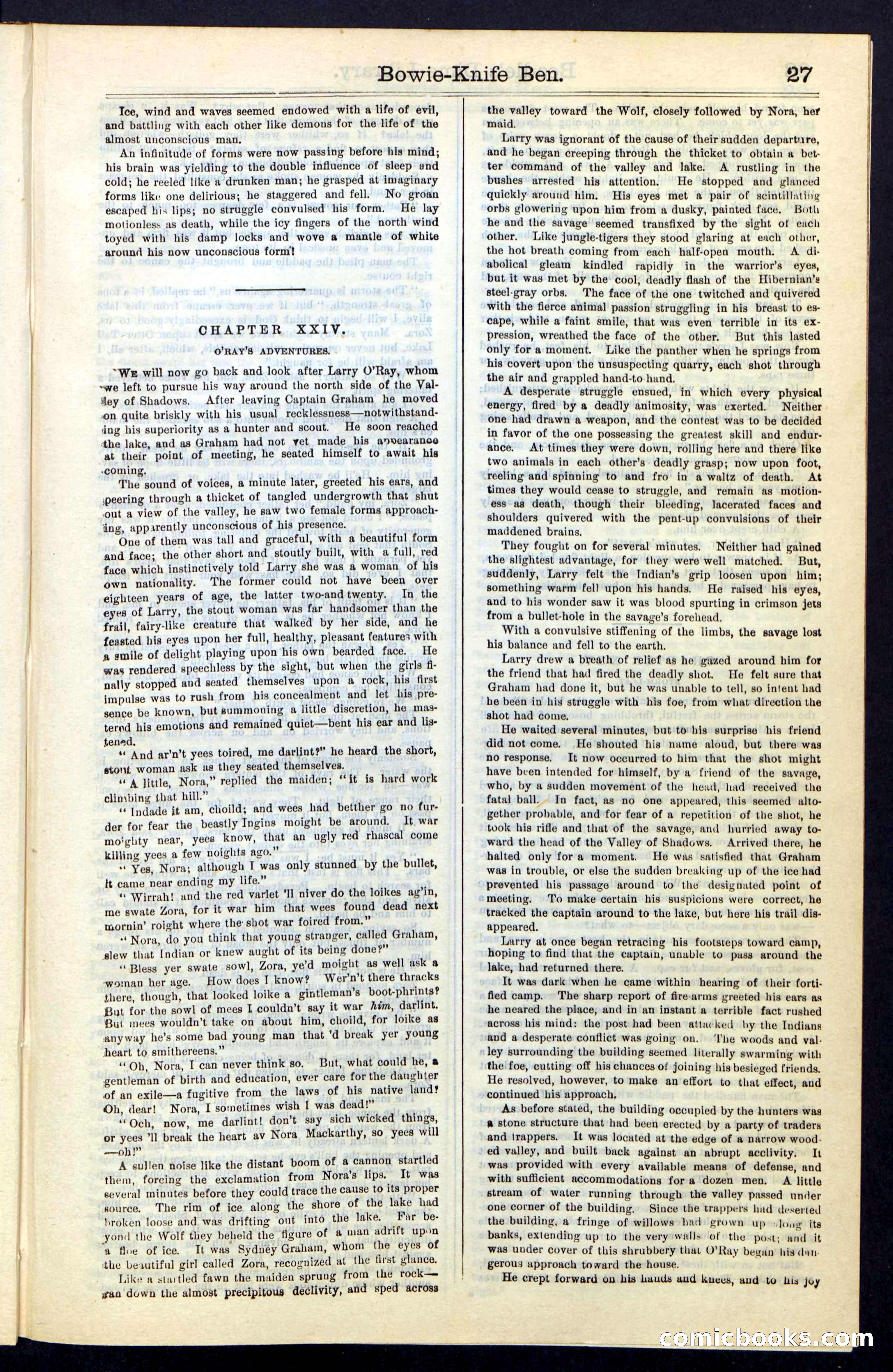 Beadle's New York Dime Library, Vol. IV, No. 46 — page 27 of 40
