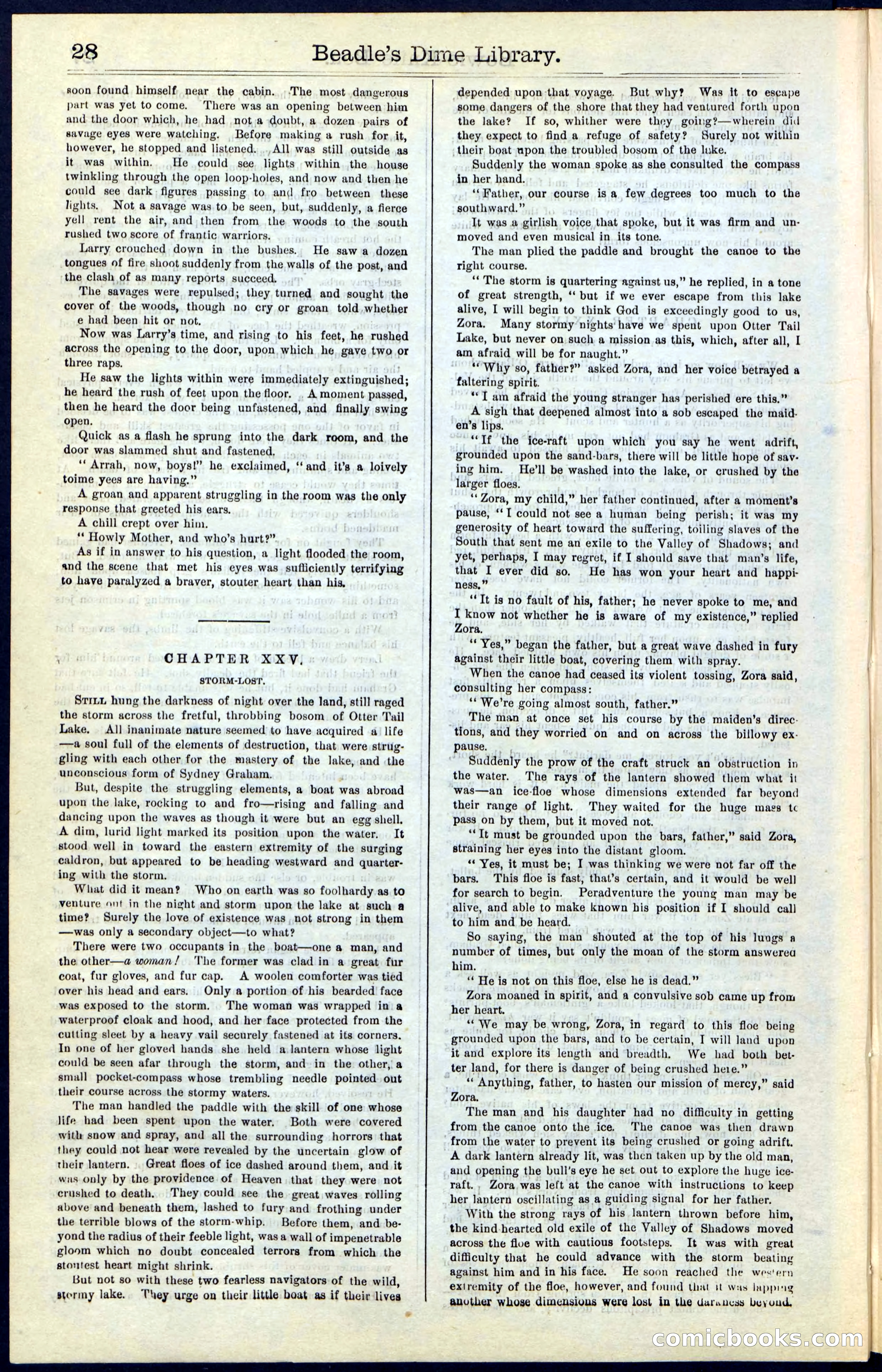 Beadle's New York Dime Library, Vol. IV, No. 46 — page 28 of 40