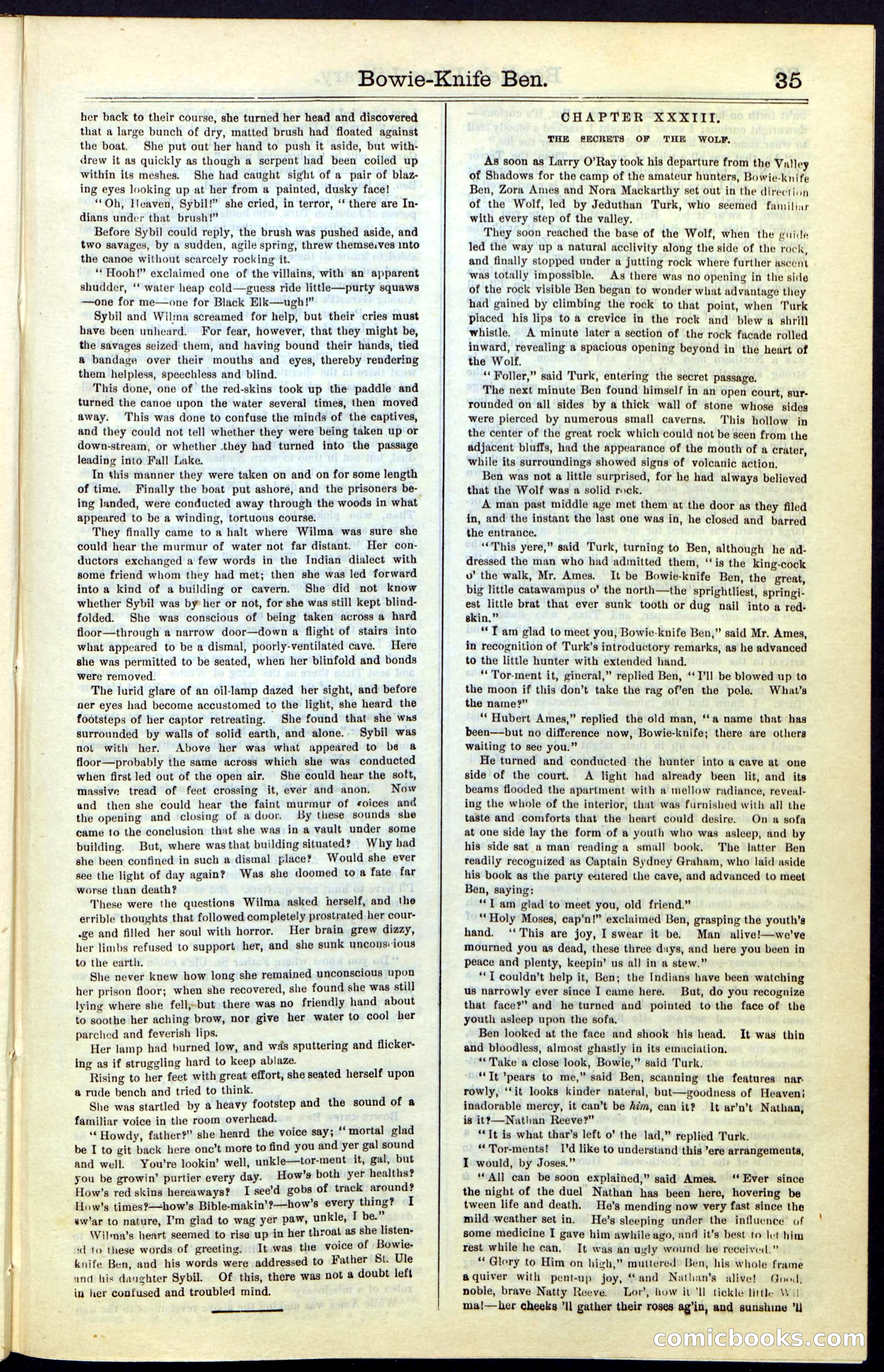 Beadle's New York Dime Library, Vol. IV, No. 46 — page 35 of 40