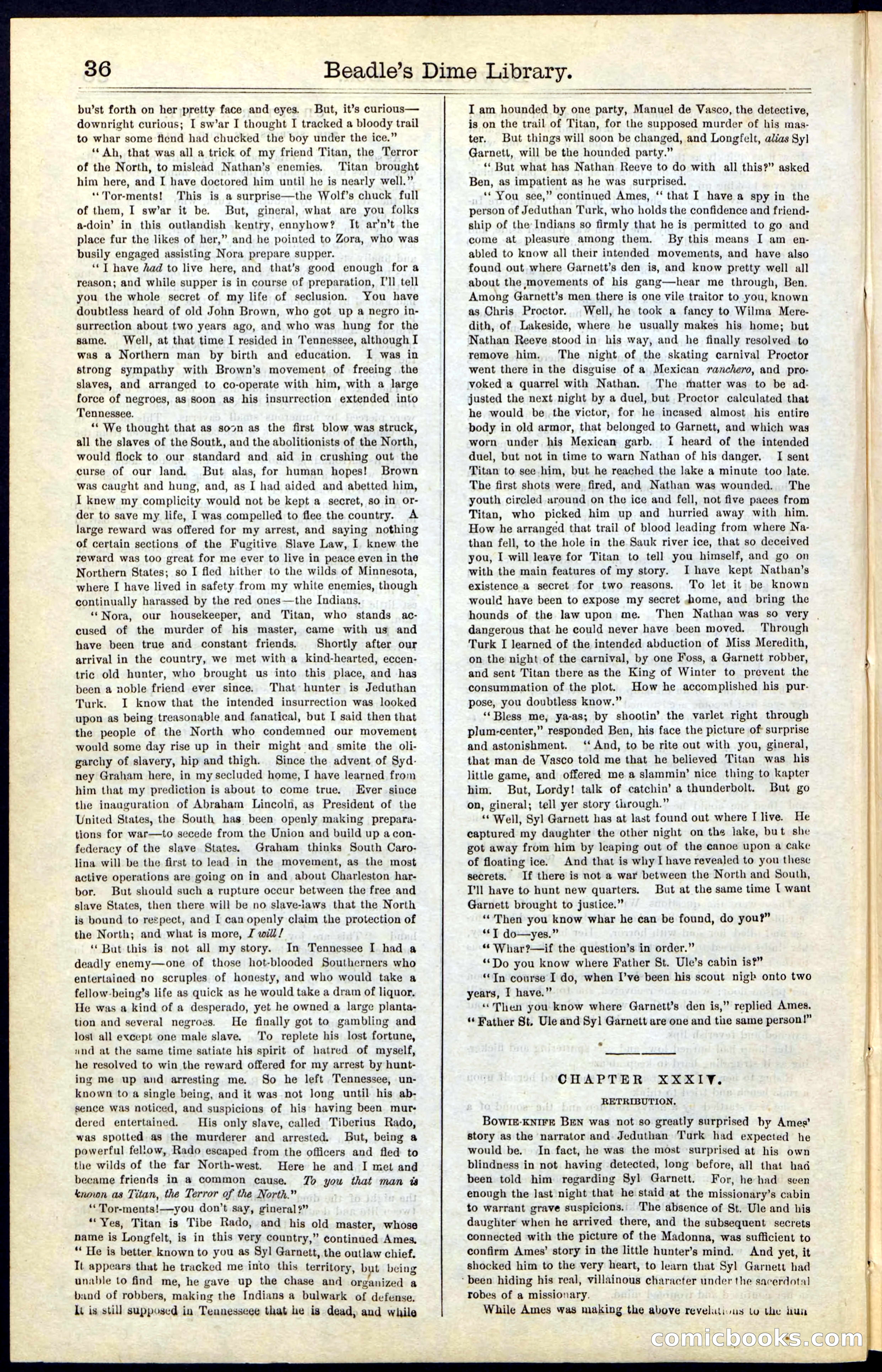 Beadle's New York Dime Library, Vol. IV, No. 46 — page 36 of 40