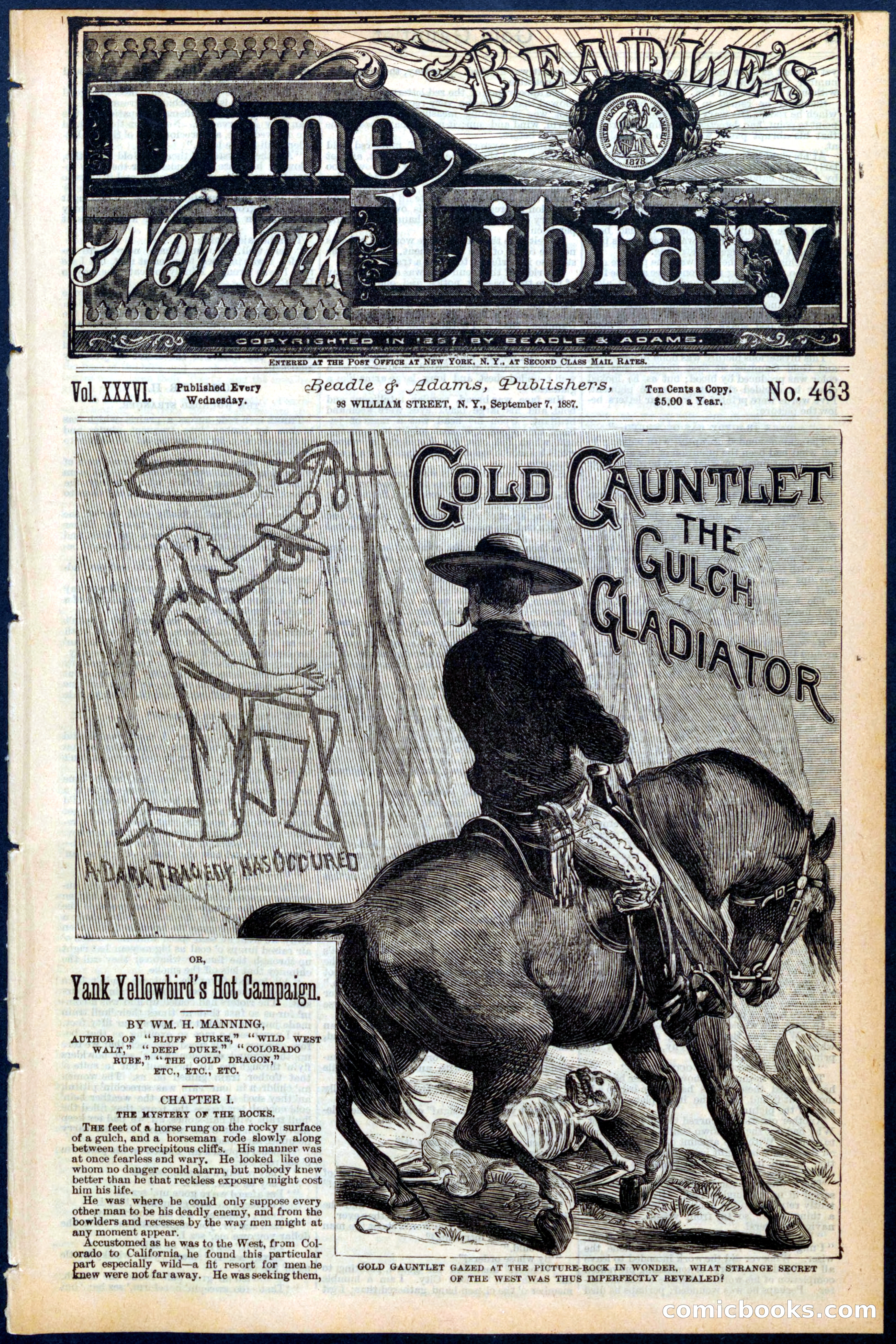 Beadle's New York Dime Library No. 463 — page 1 of 32