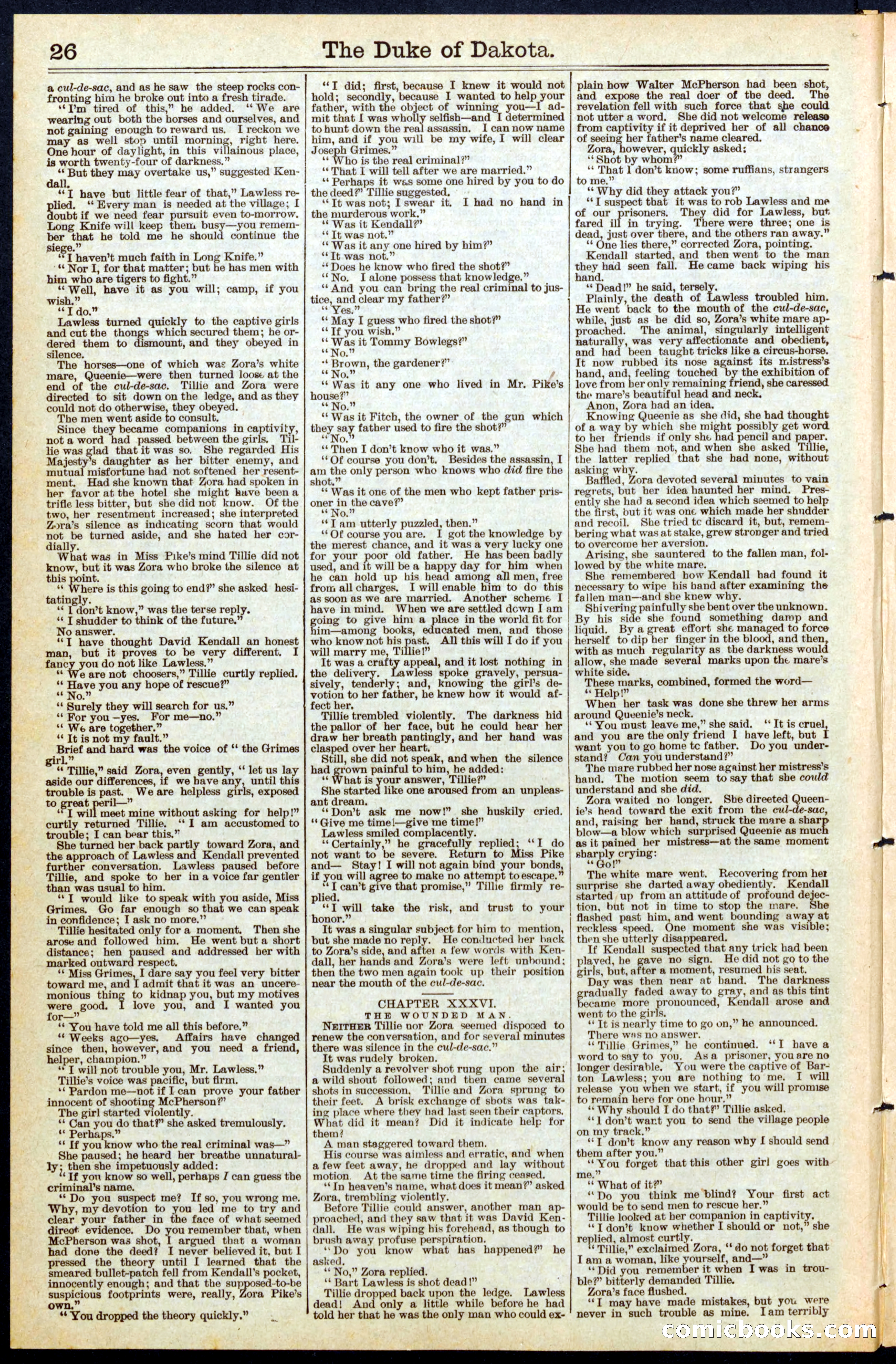 Beadle's New York Dime Library No. 470 — page 26 of 32