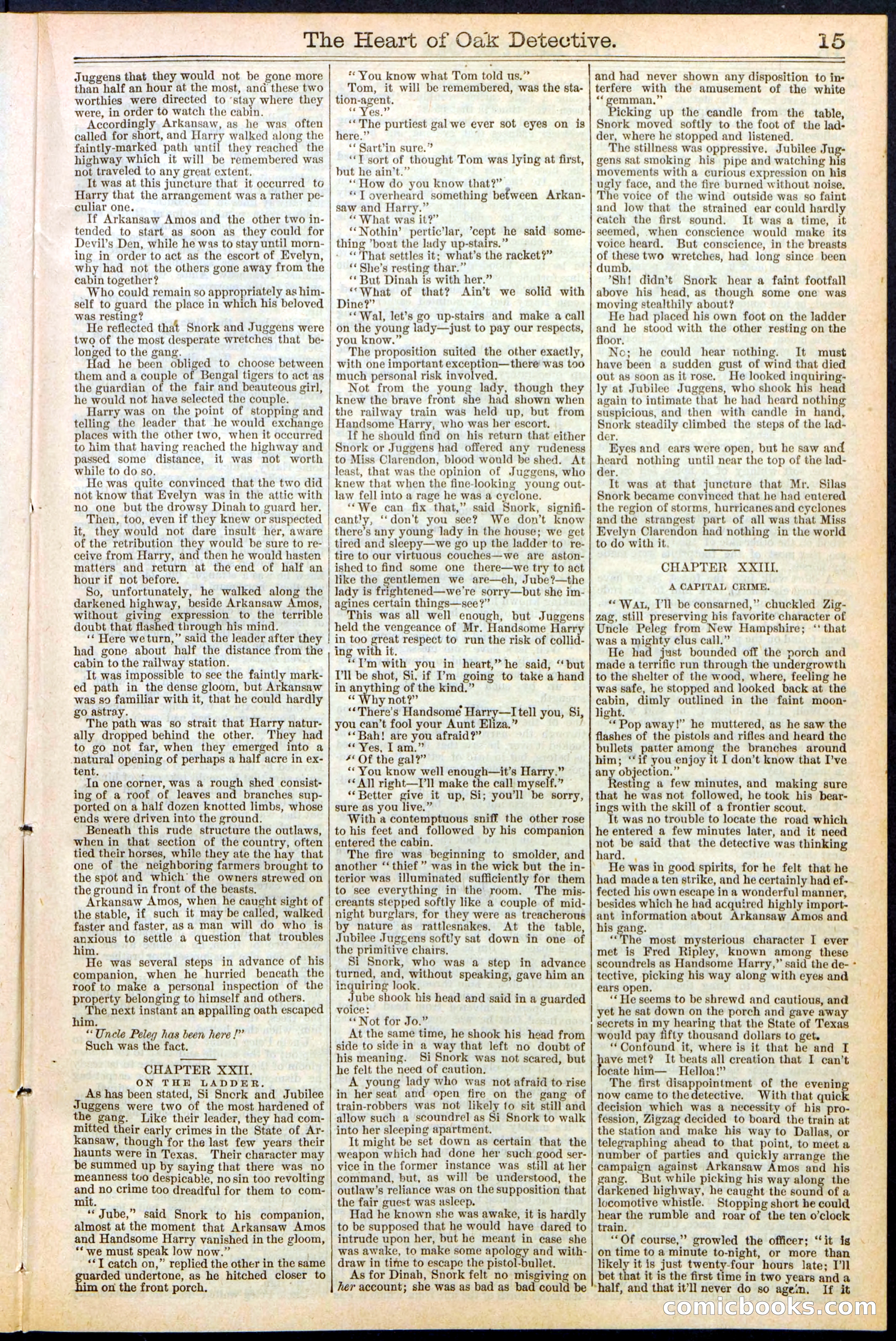 Beadle's New York Dime Library No. 471 — page 15 of 32