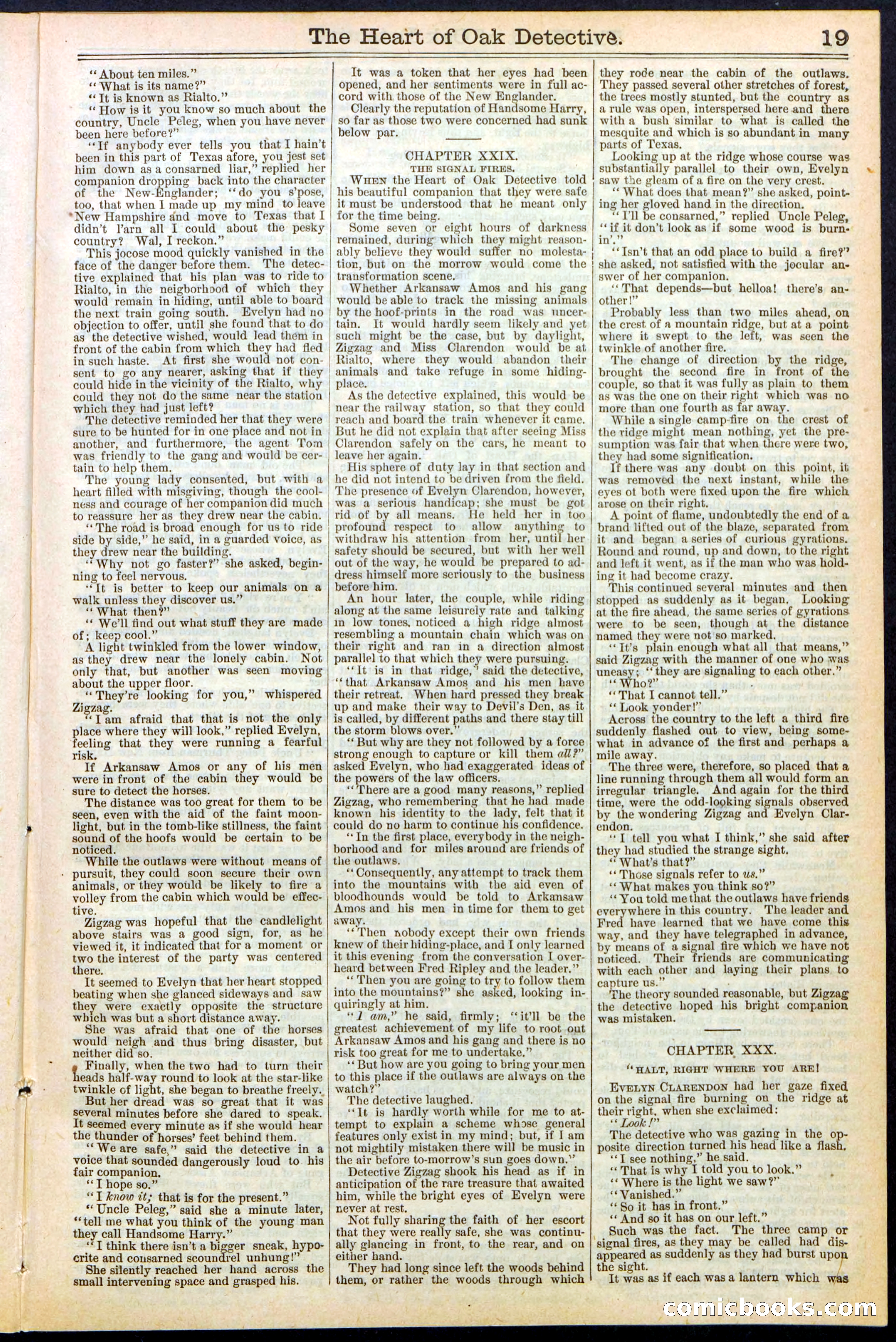 Beadle's New York Dime Library No. 471 — page 19 of 32