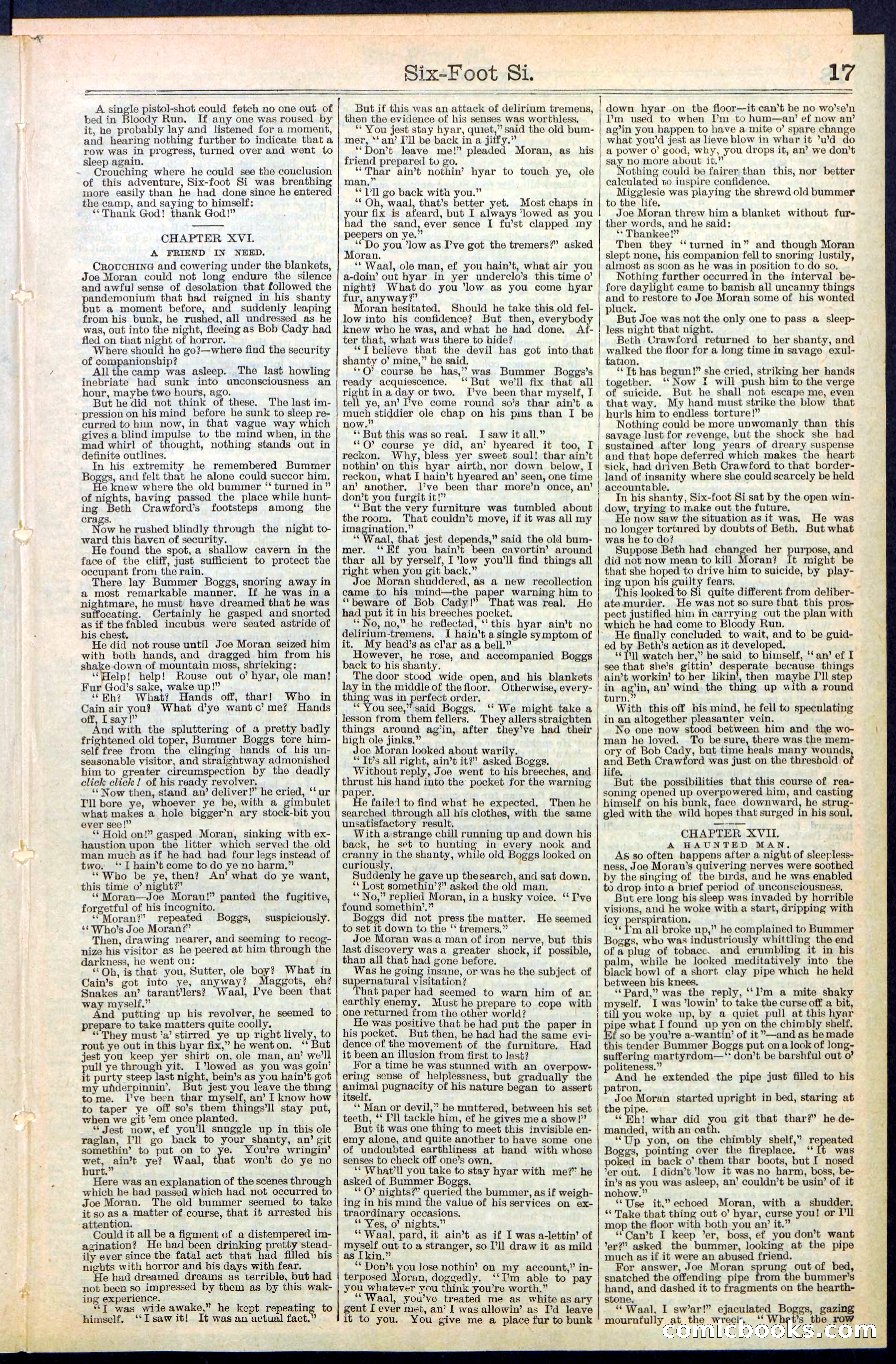 Beadle's New York Dime Library, No. 472 — page 17 of 32