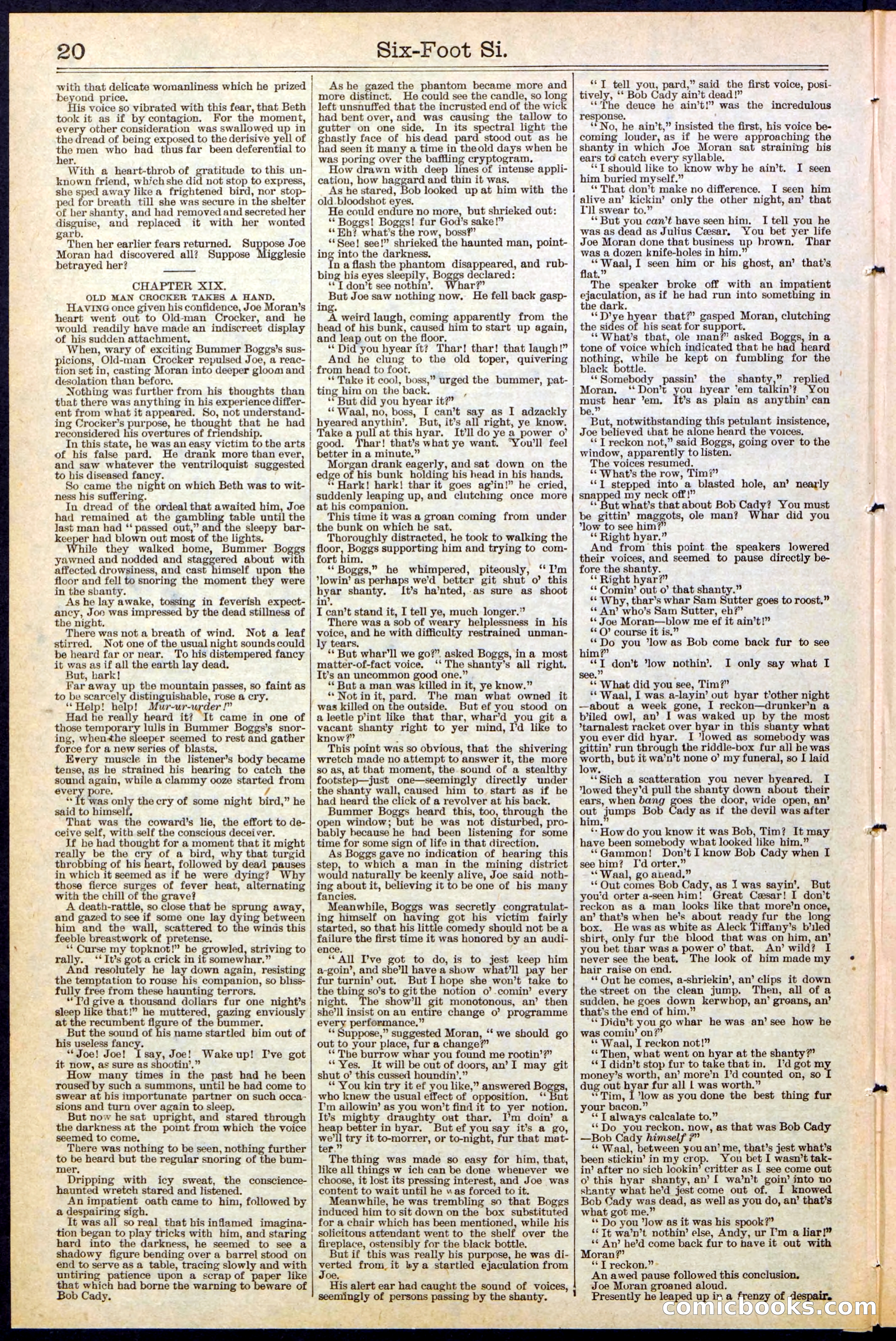Beadle's New York Dime Library, No. 472 — page 20 of 32