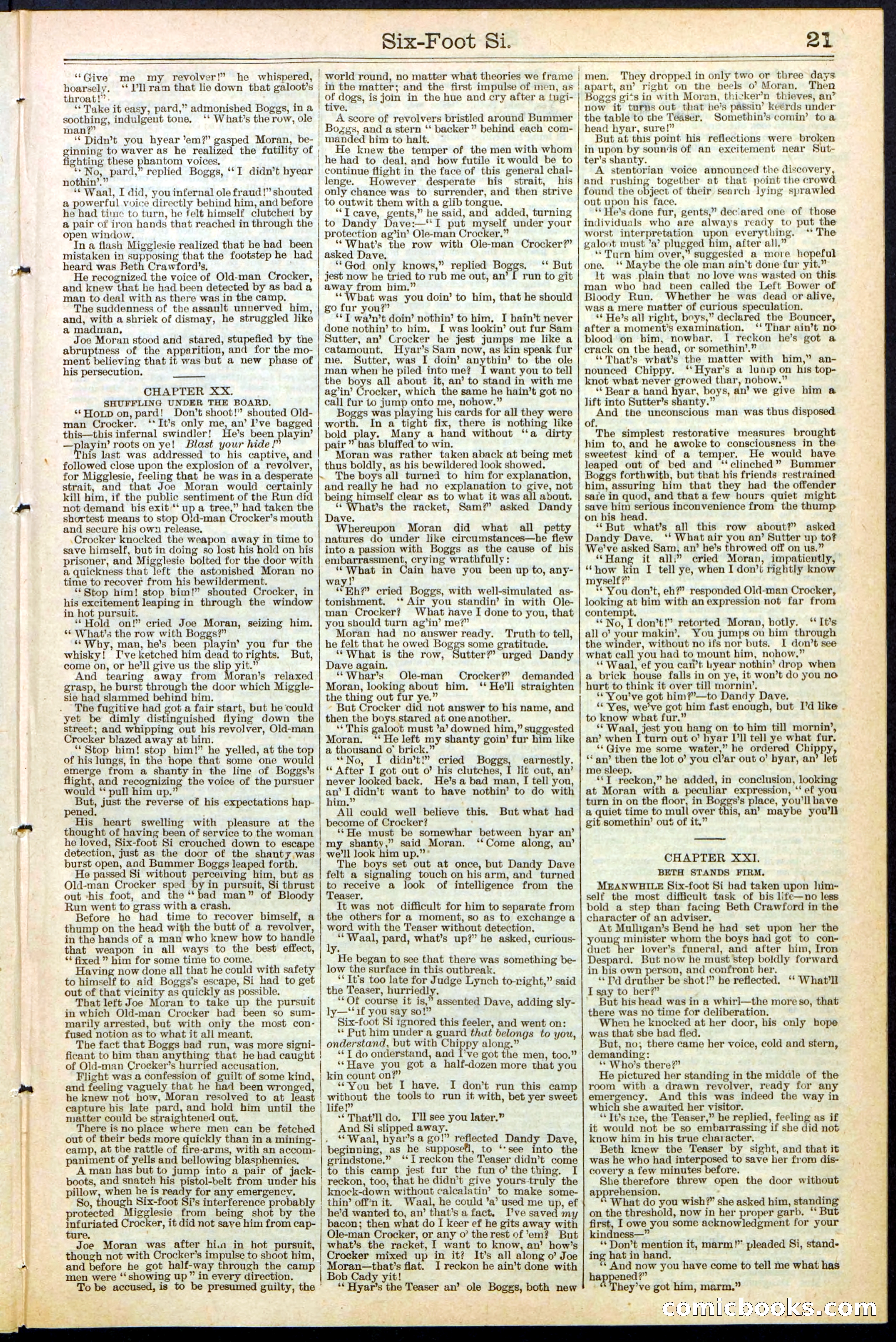 Beadle's New York Dime Library, No. 472 — page 21 of 32