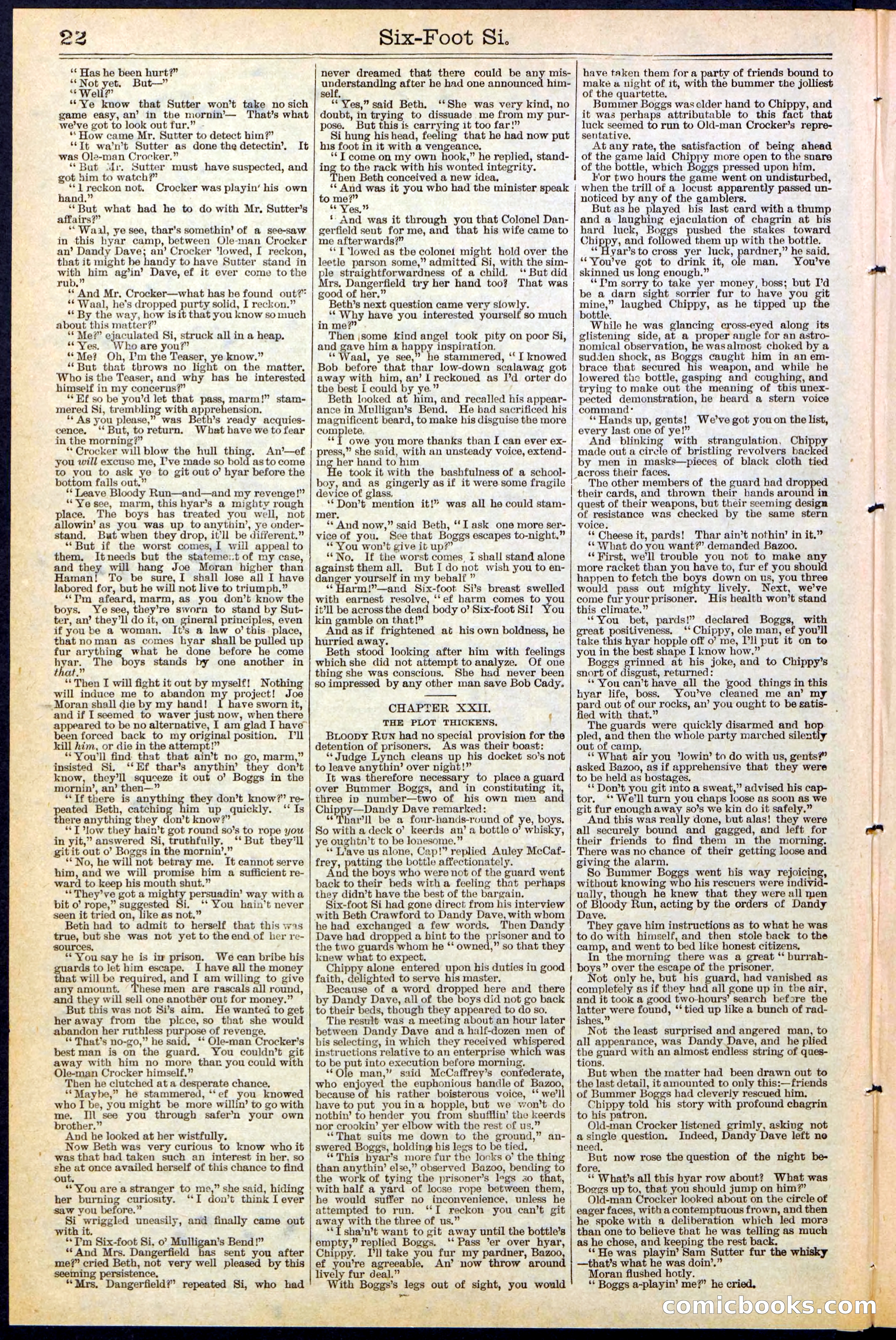 Beadle's New York Dime Library, No. 472 — page 22 of 32