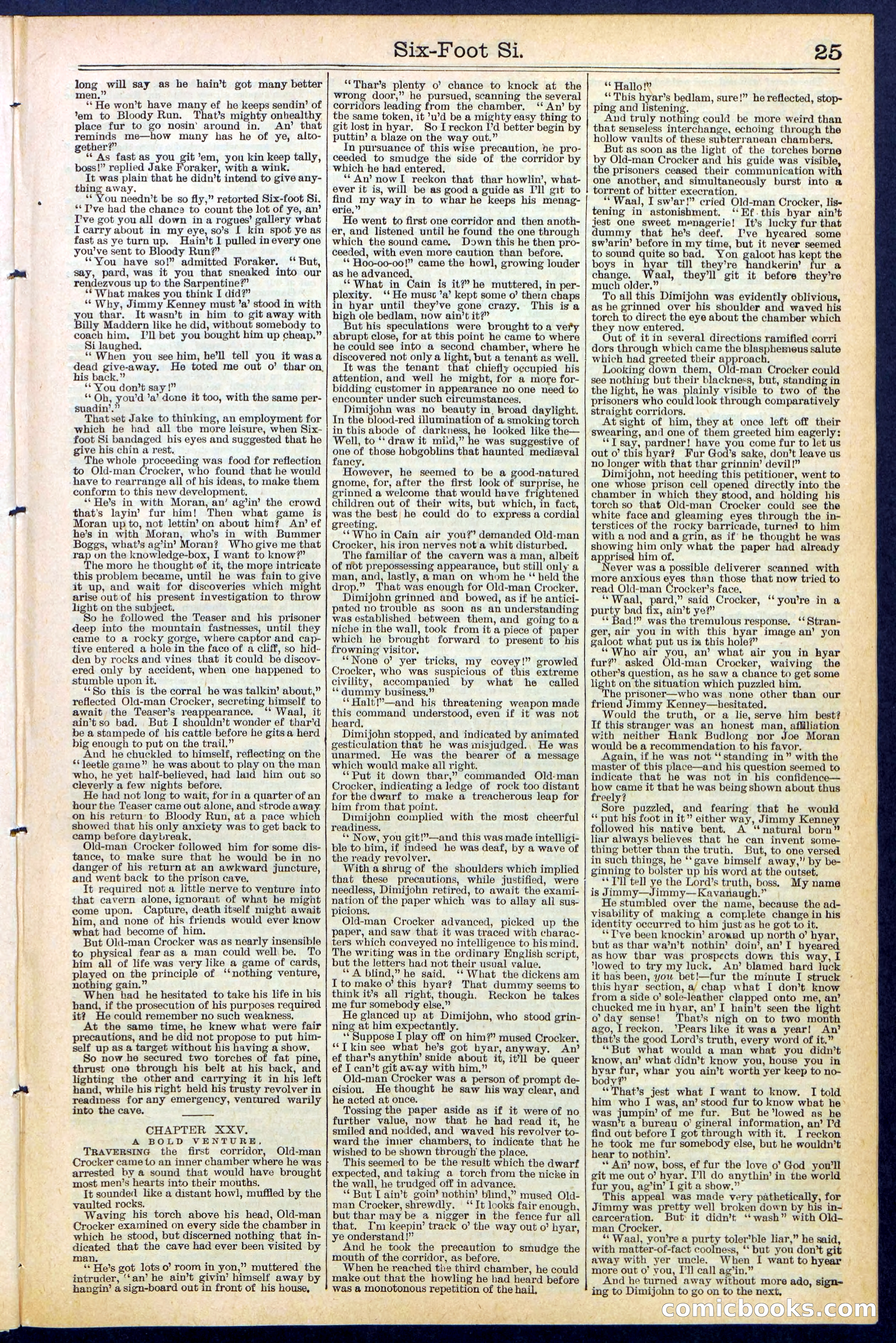 Beadle's New York Dime Library, No. 472 — page 25 of 32