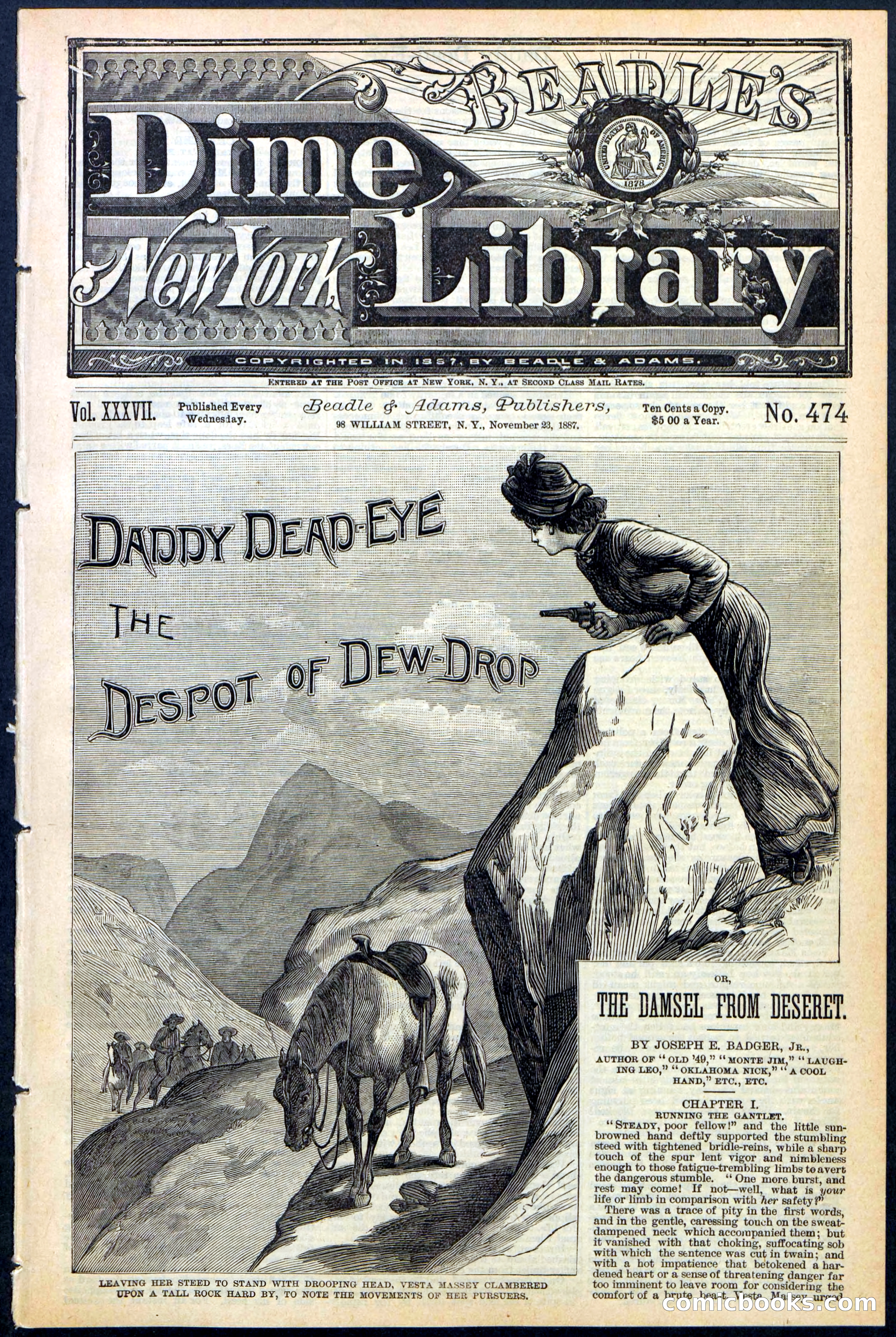 Beadle's New York Dime Library No. 474 — page 1 of 32