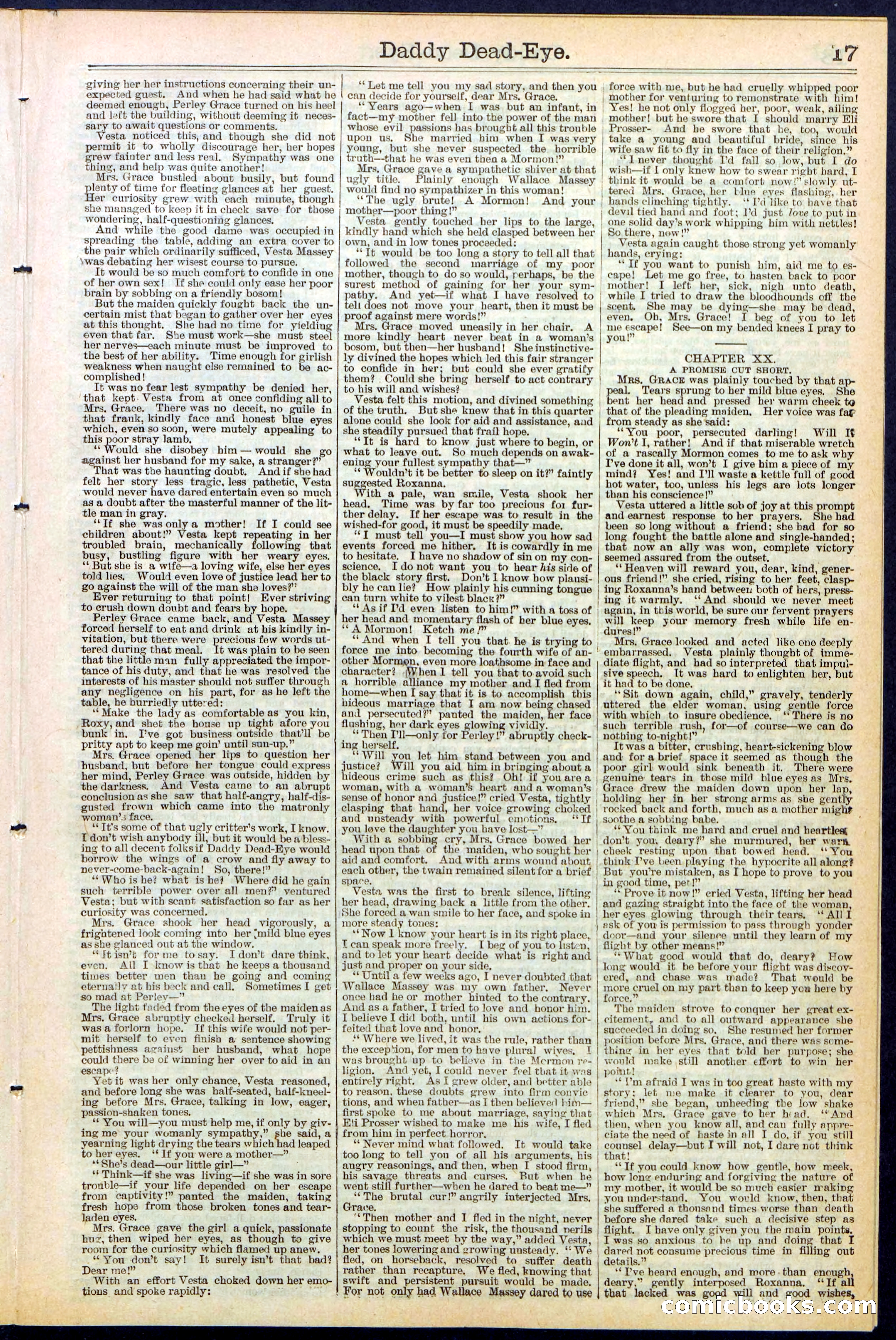 Beadle's New York Dime Library No. 474 — page 17 of 32