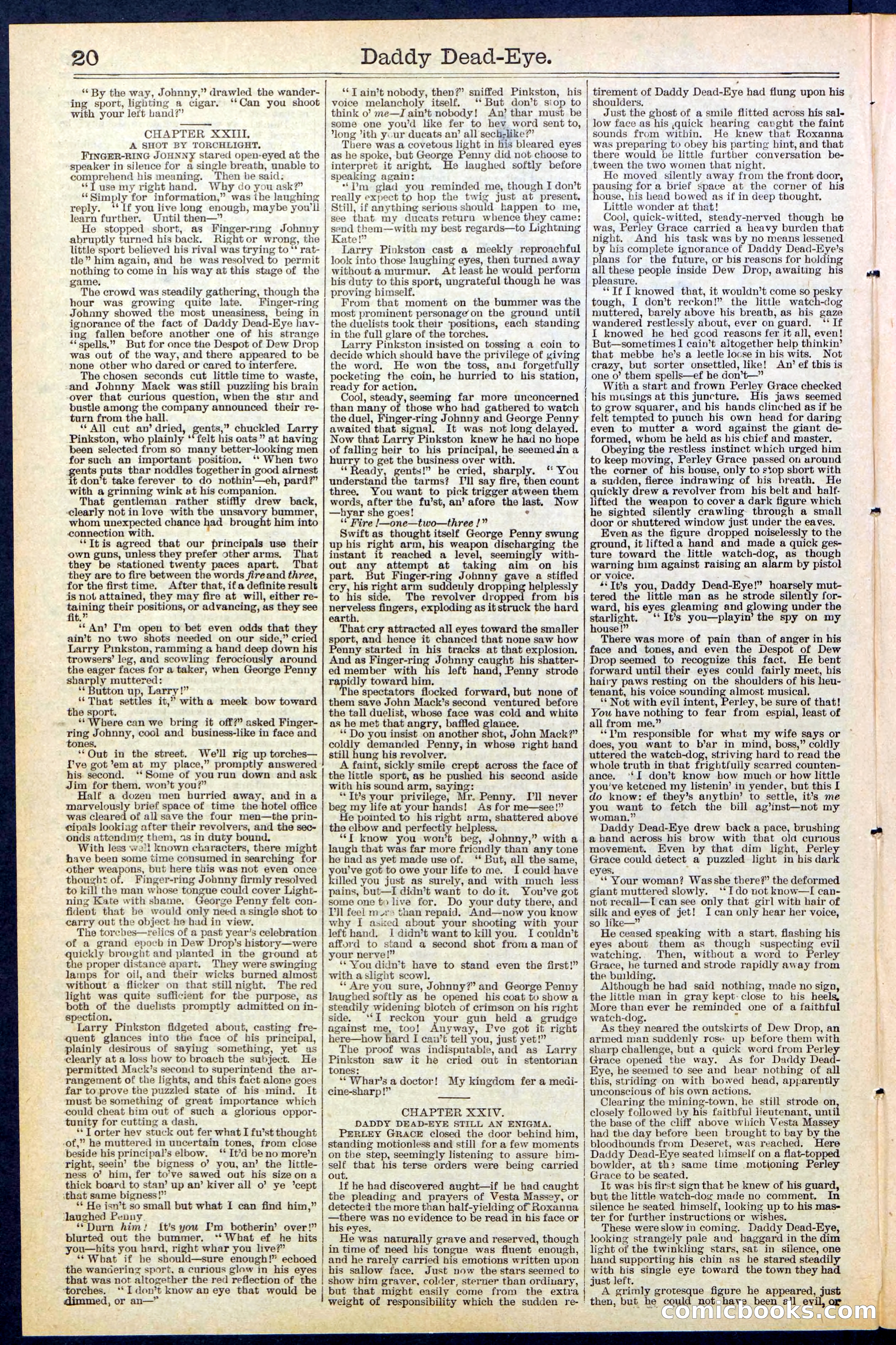 Beadle's New York Dime Library No. 474 — page 20 of 32