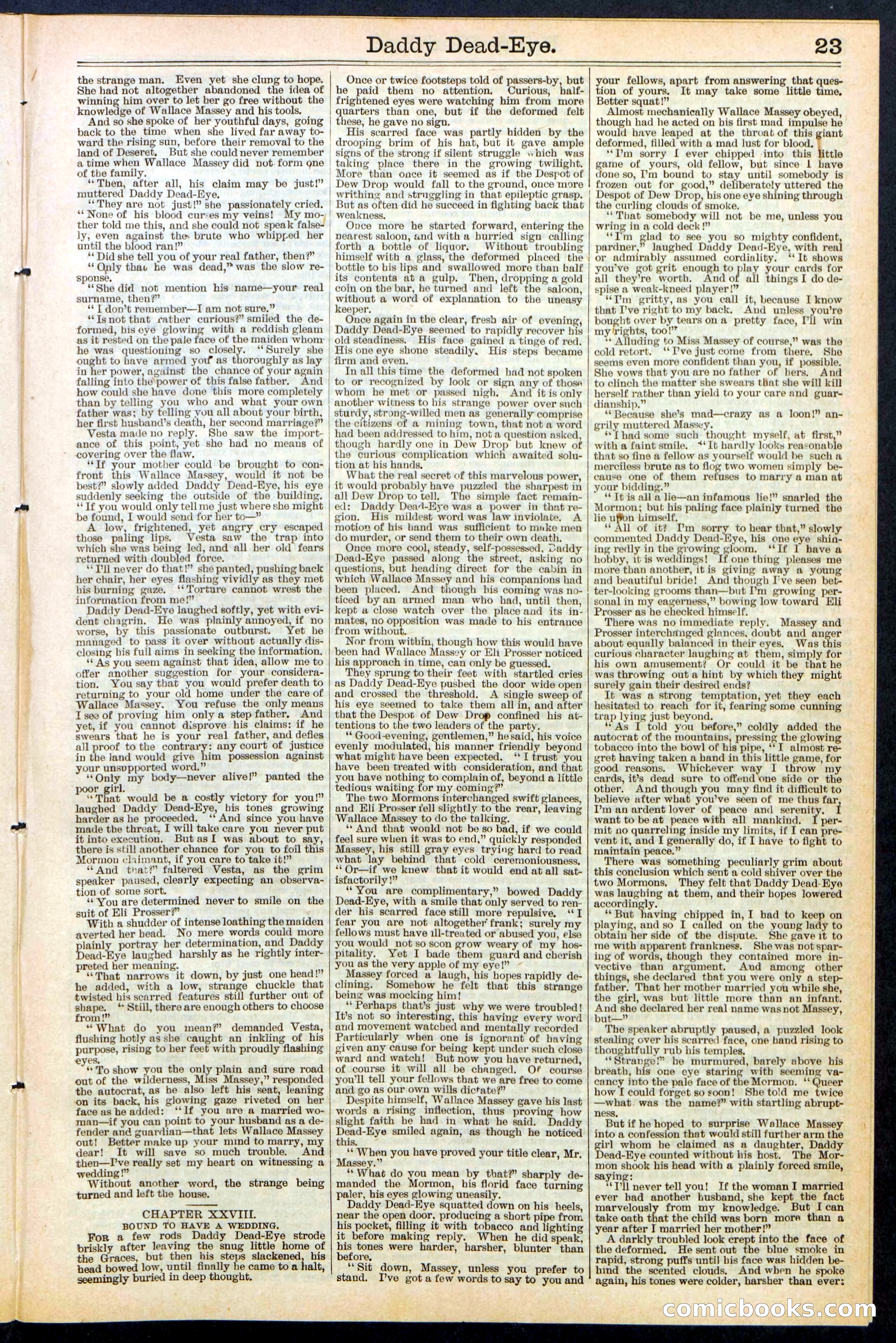 Beadle's New York Dime Library No. 474 — page 23 of 32
