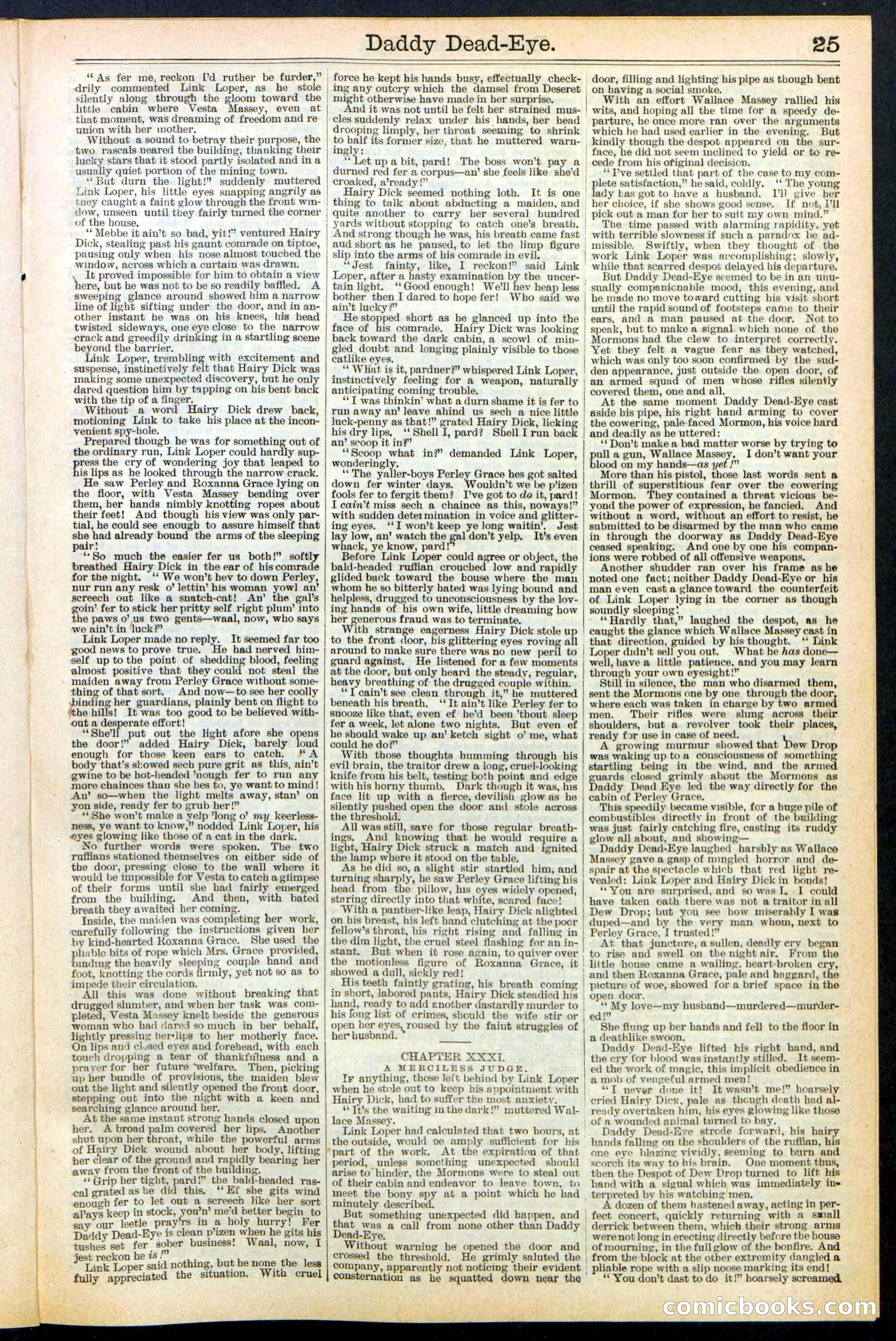 Beadle's New York Dime Library No. 474 — page 25 of 32
