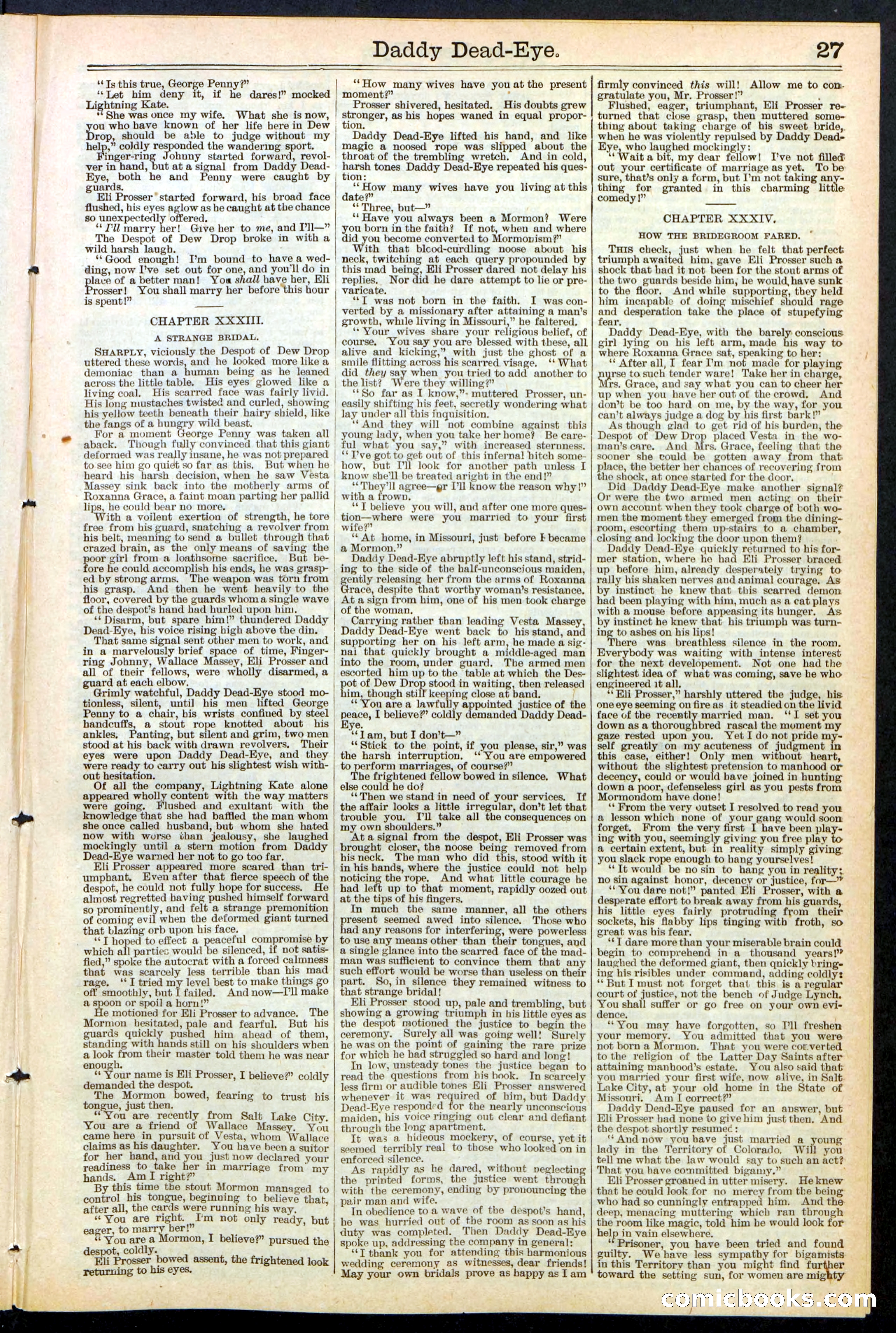 Beadle's New York Dime Library No. 474 — page 27 of 32