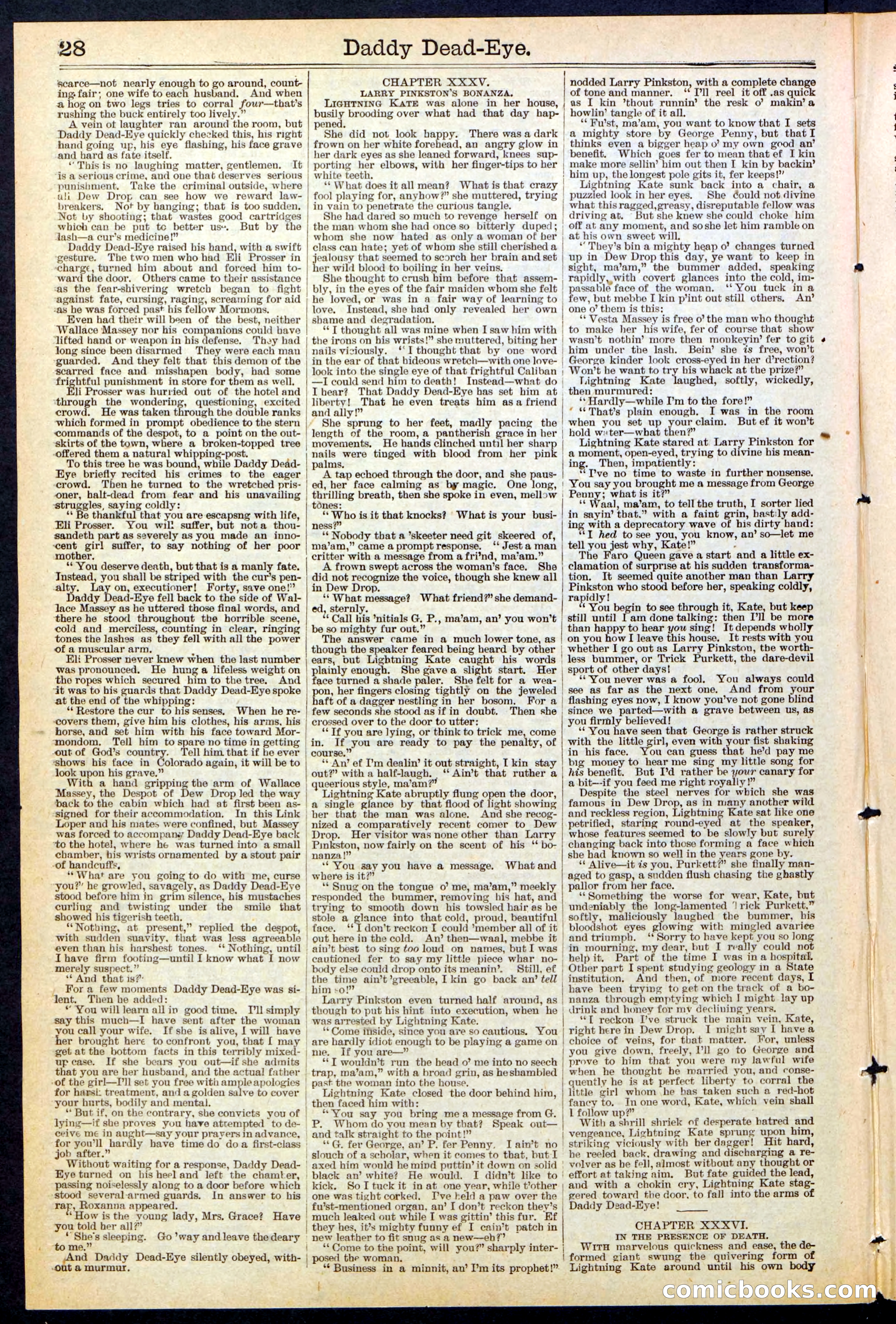 Beadle's New York Dime Library No. 474 — page 28 of 32