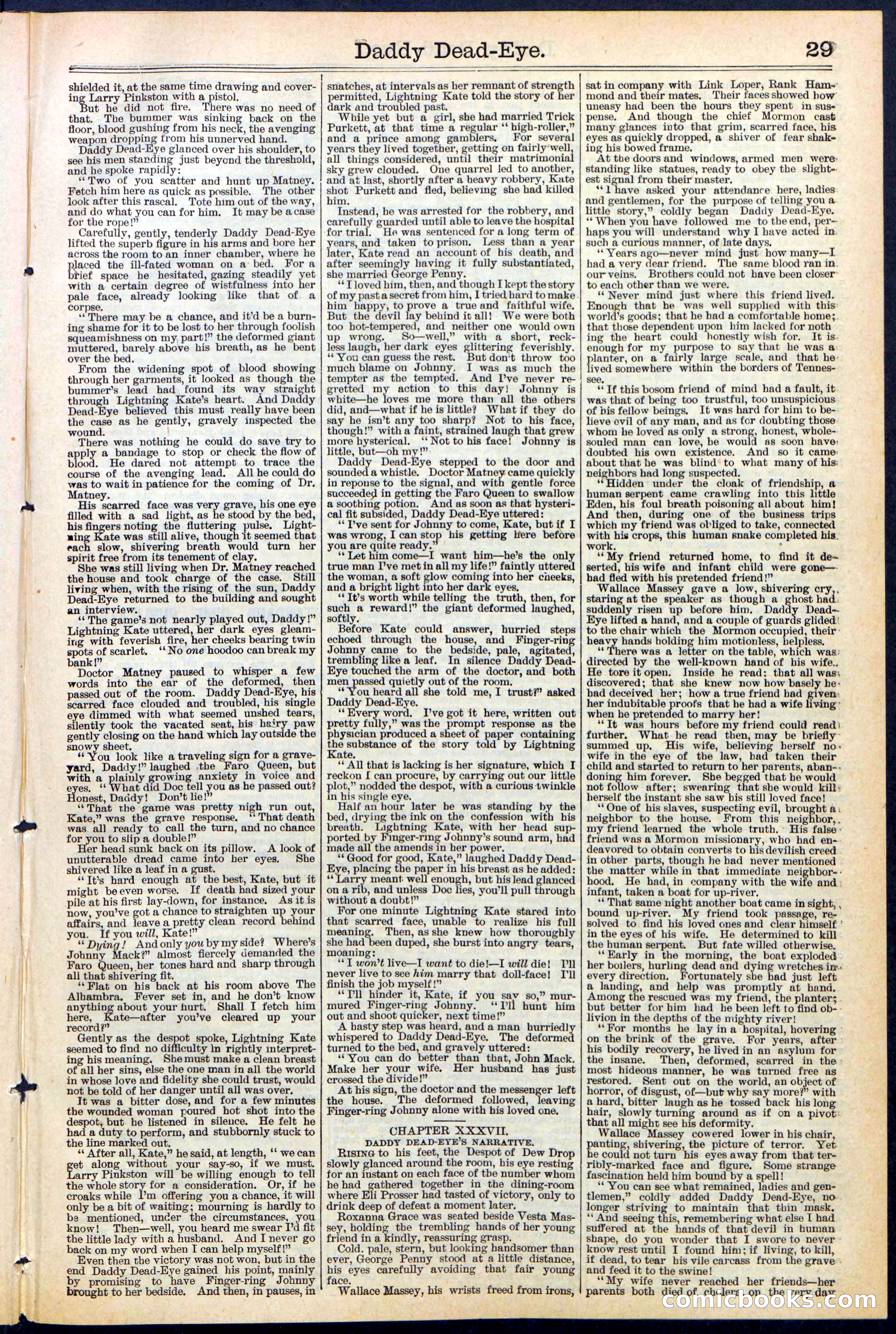 Beadle's New York Dime Library No. 474 — page 29 of 32