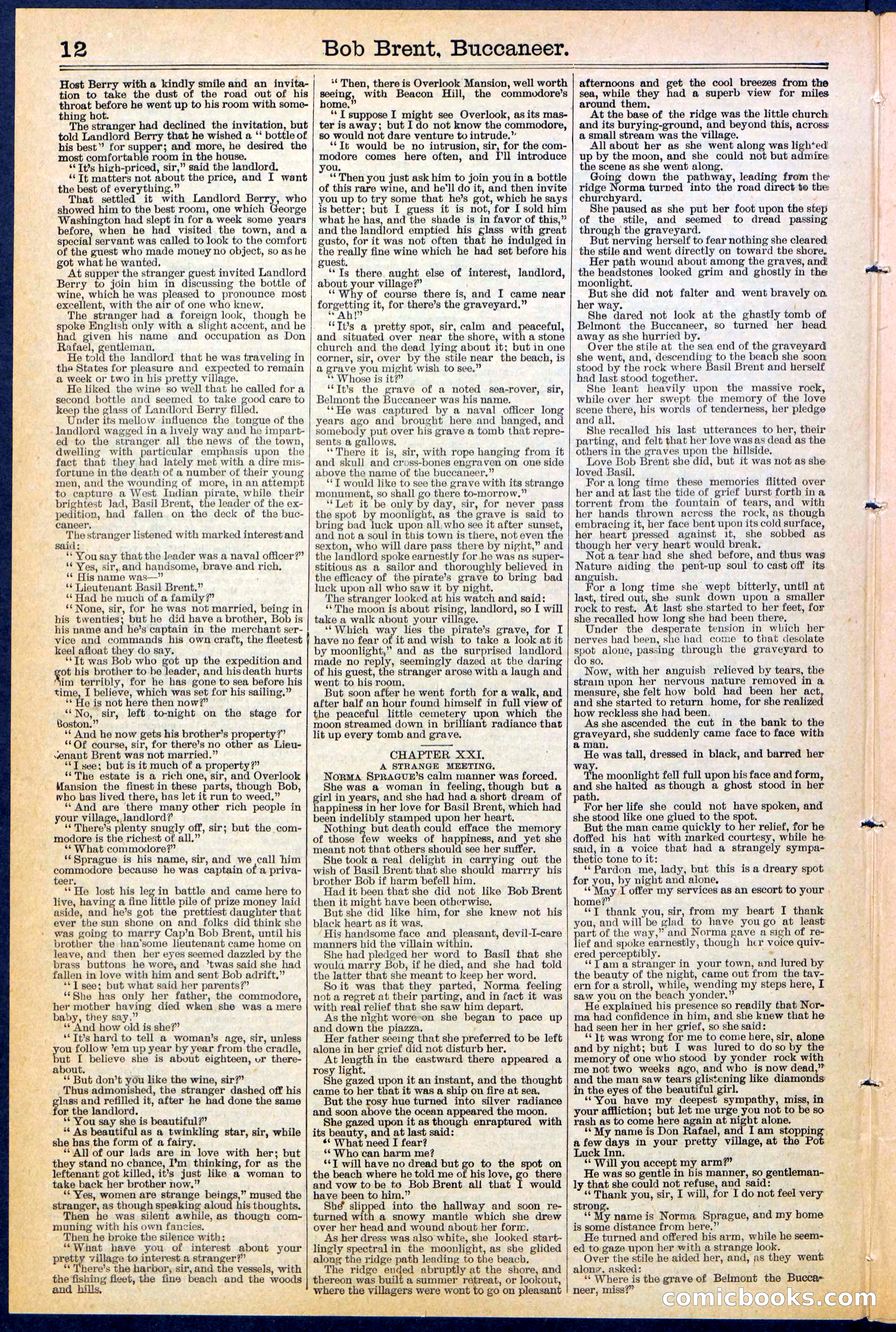 Beadle's New York Dime Library No. 476 — page 12 of 32