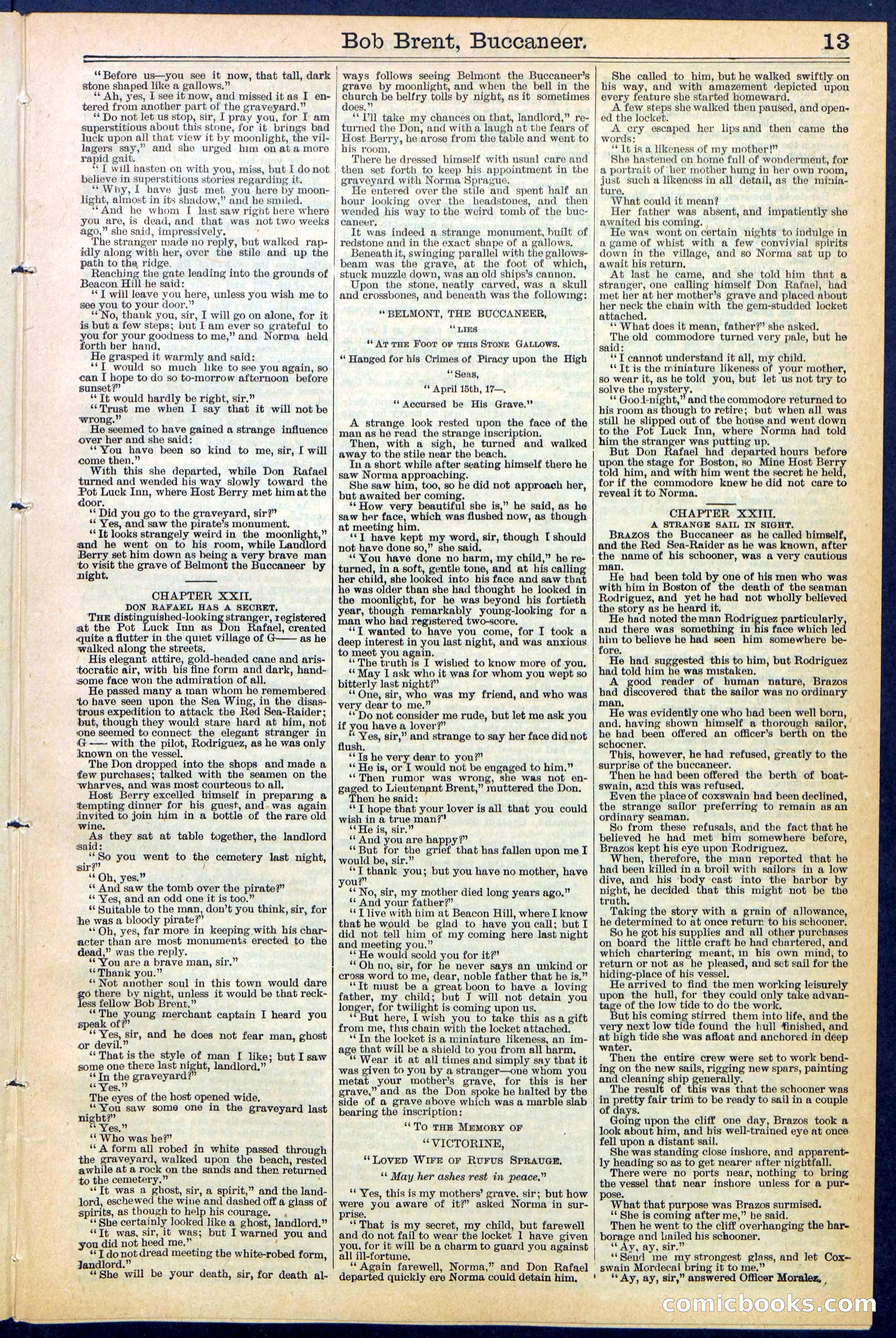 Beadle's New York Dime Library No. 476 — page 13 of 32