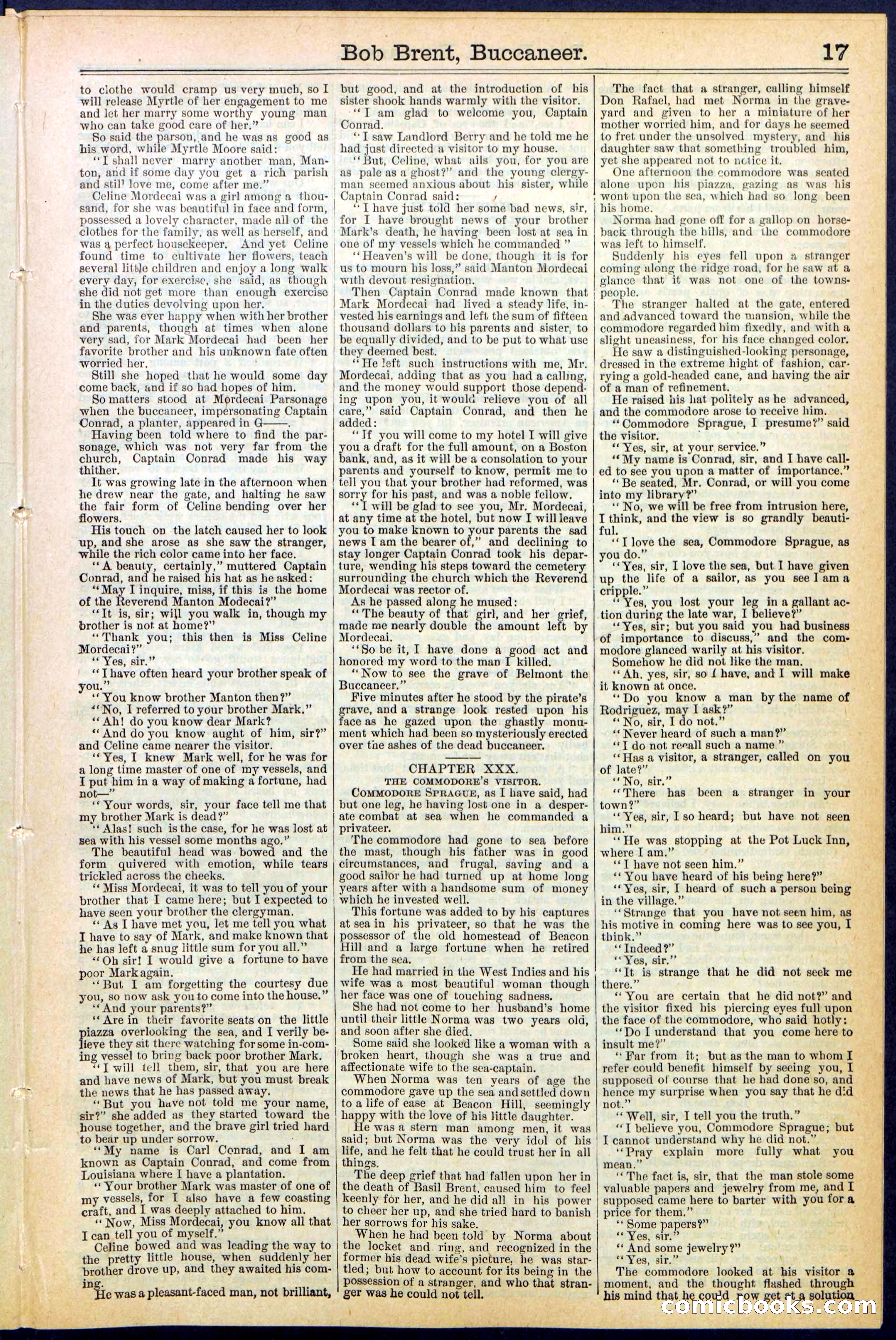 Beadle's New York Dime Library No. 476 — page 17 of 32