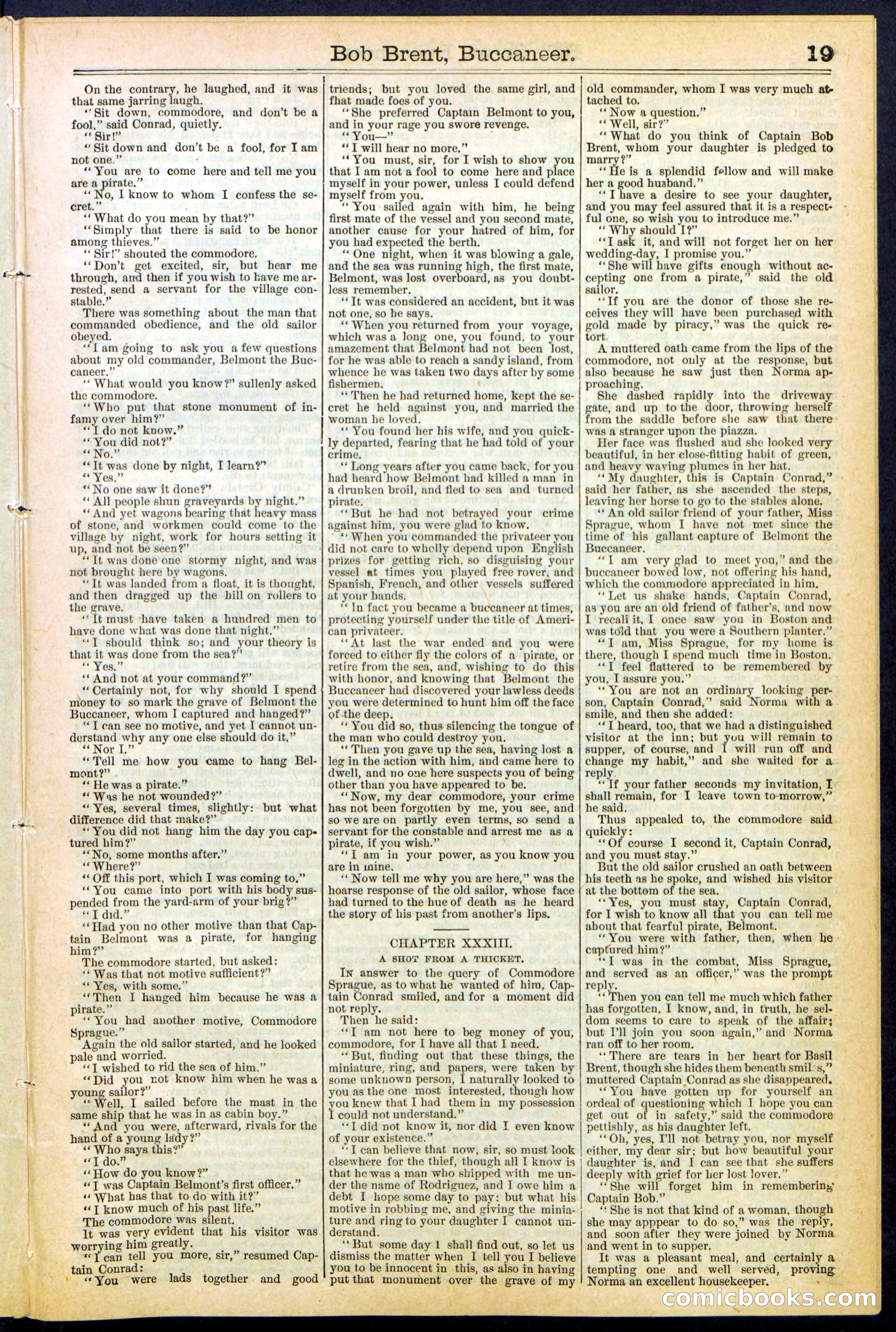 Beadle's New York Dime Library No. 476 — page 19 of 32