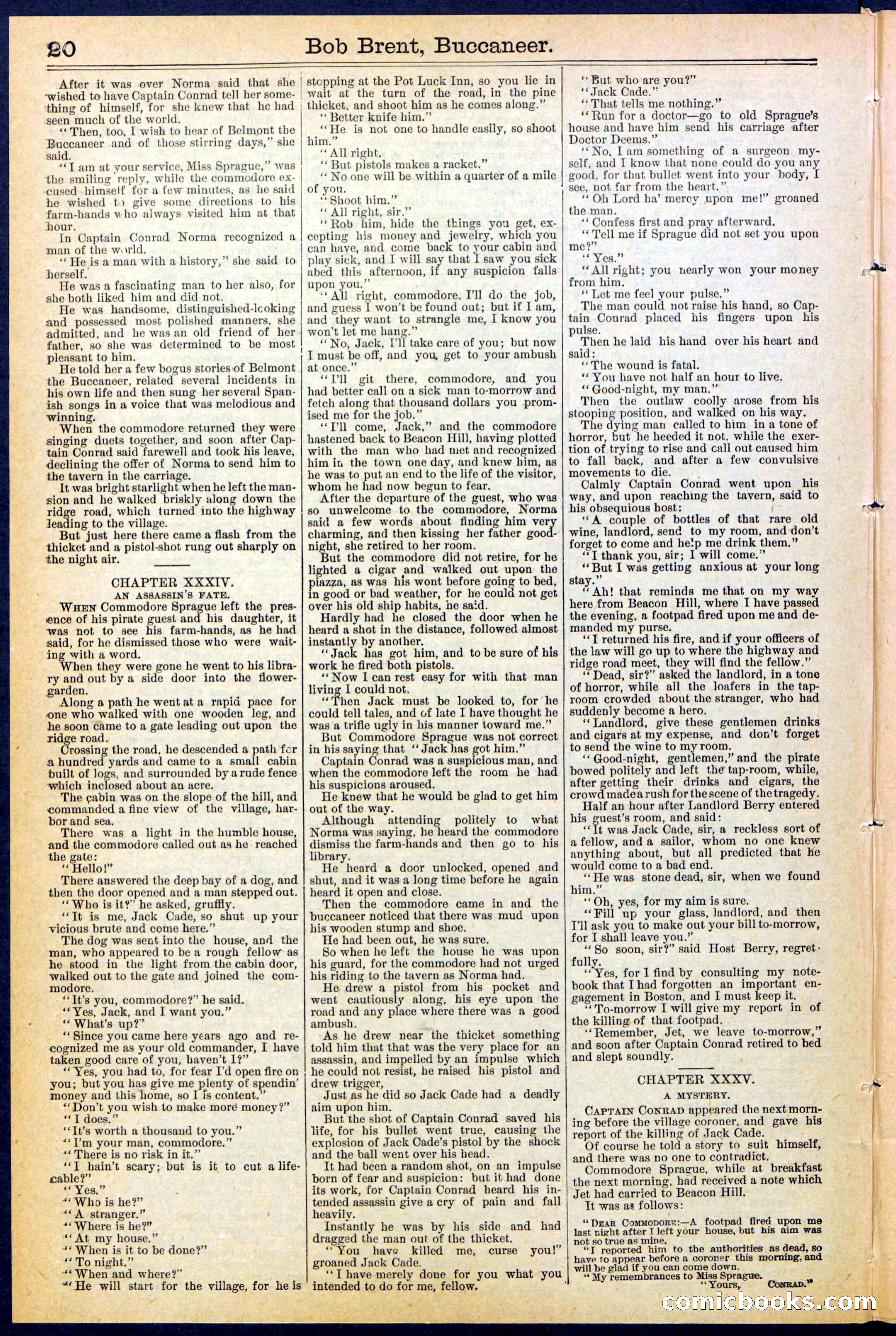 Beadle's New York Dime Library No. 476 — page 20 of 32