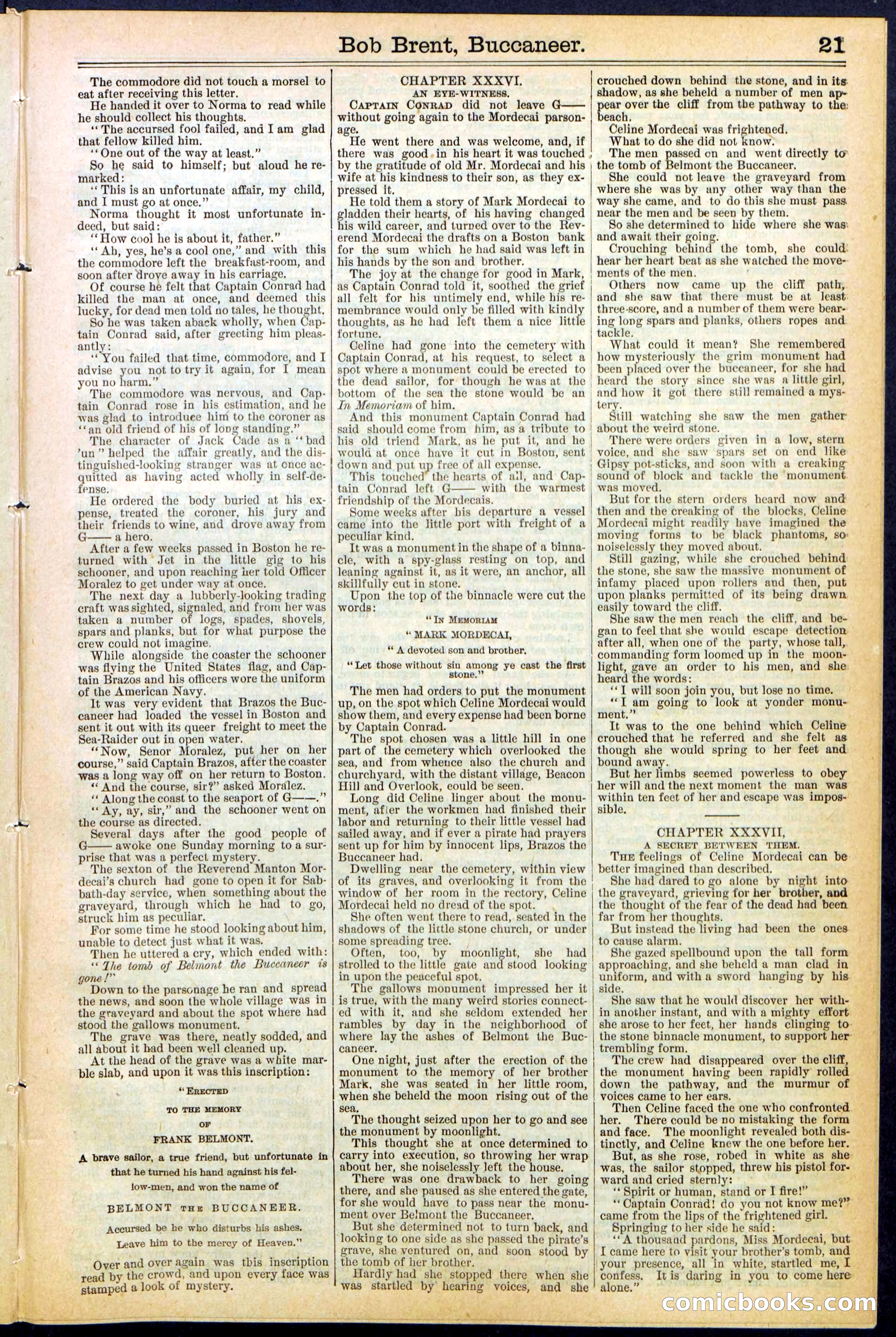 Beadle's New York Dime Library No. 476 — page 21 of 32