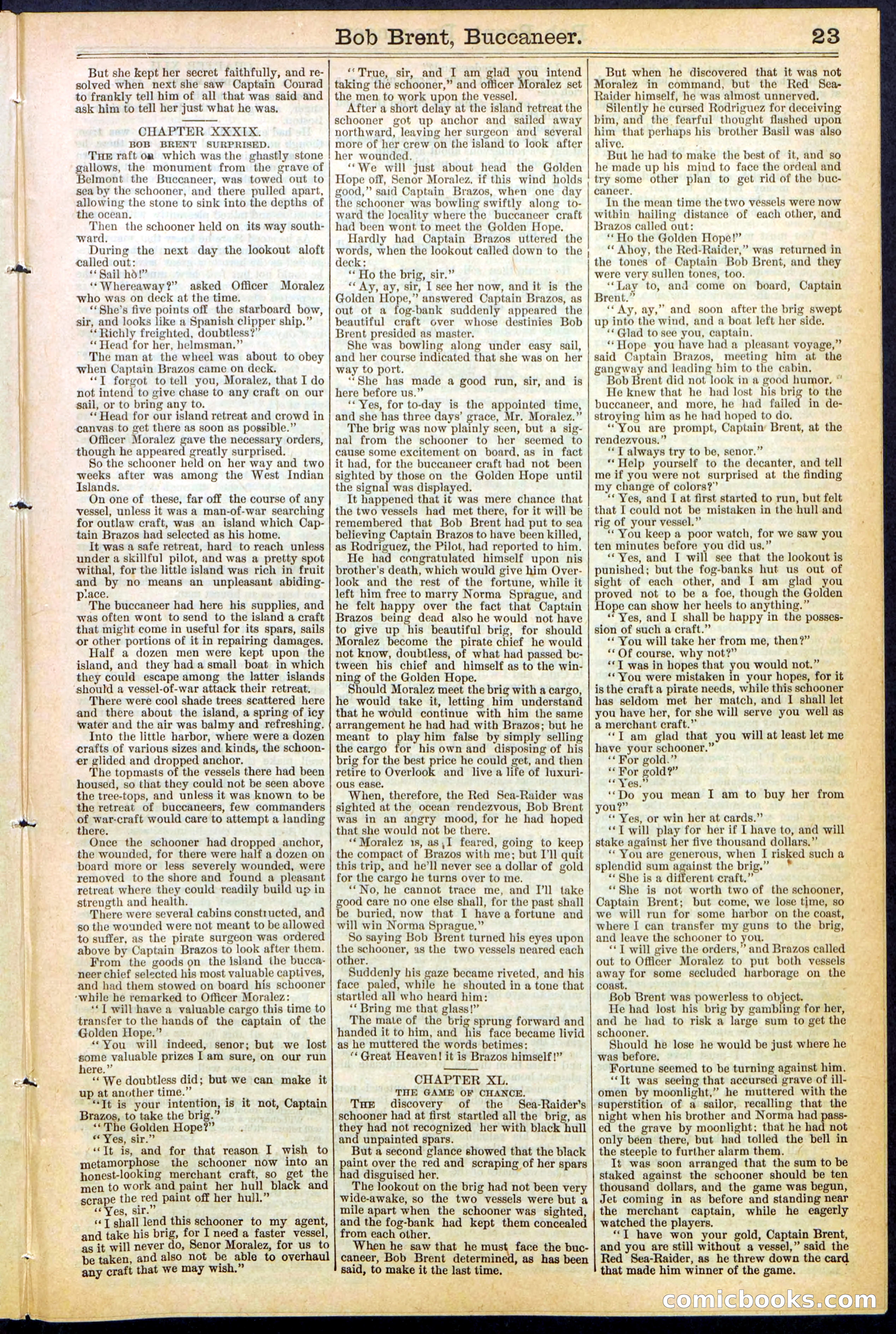 Beadle's New York Dime Library No. 476 — page 23 of 32