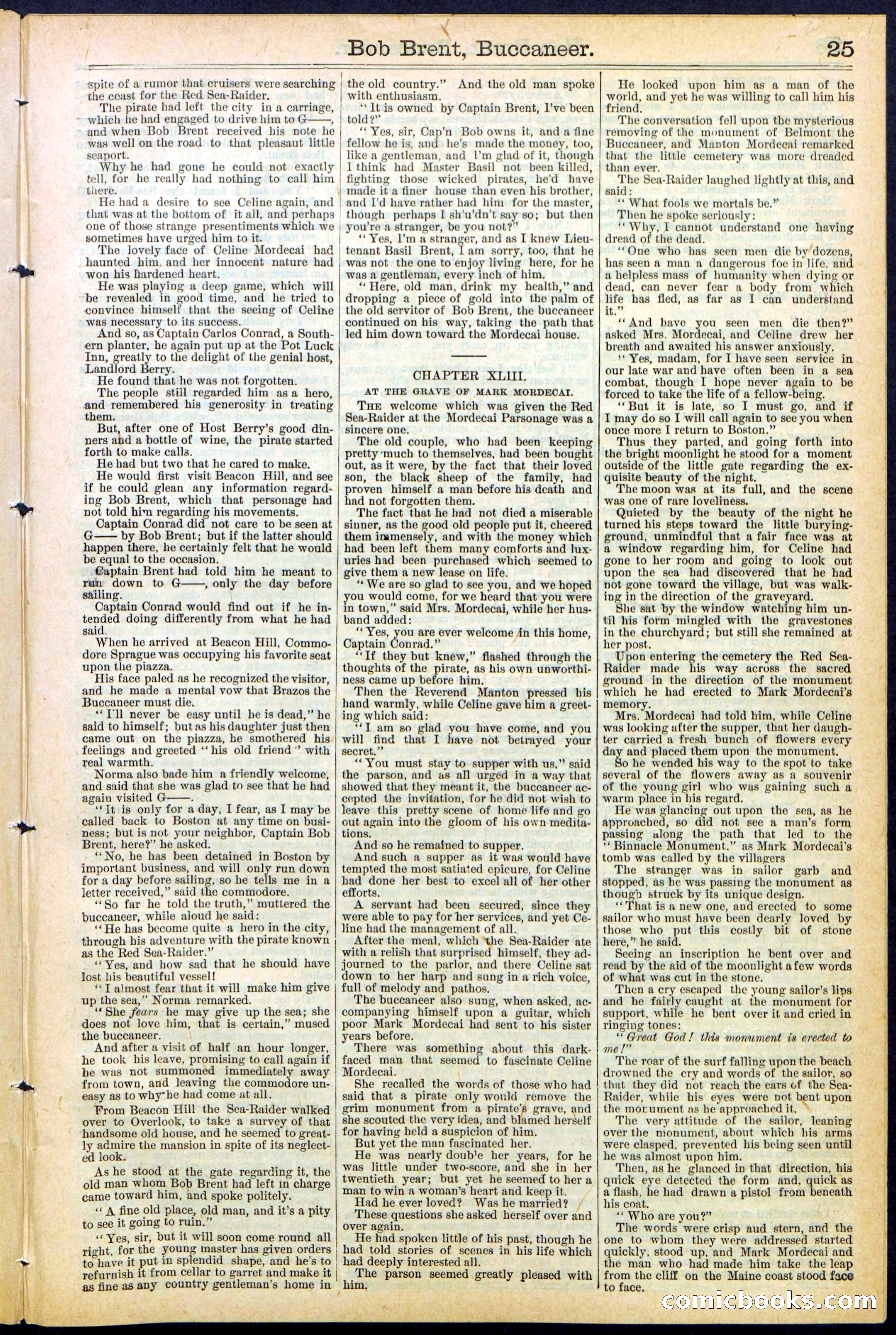 Beadle's New York Dime Library No. 476 — page 25 of 32