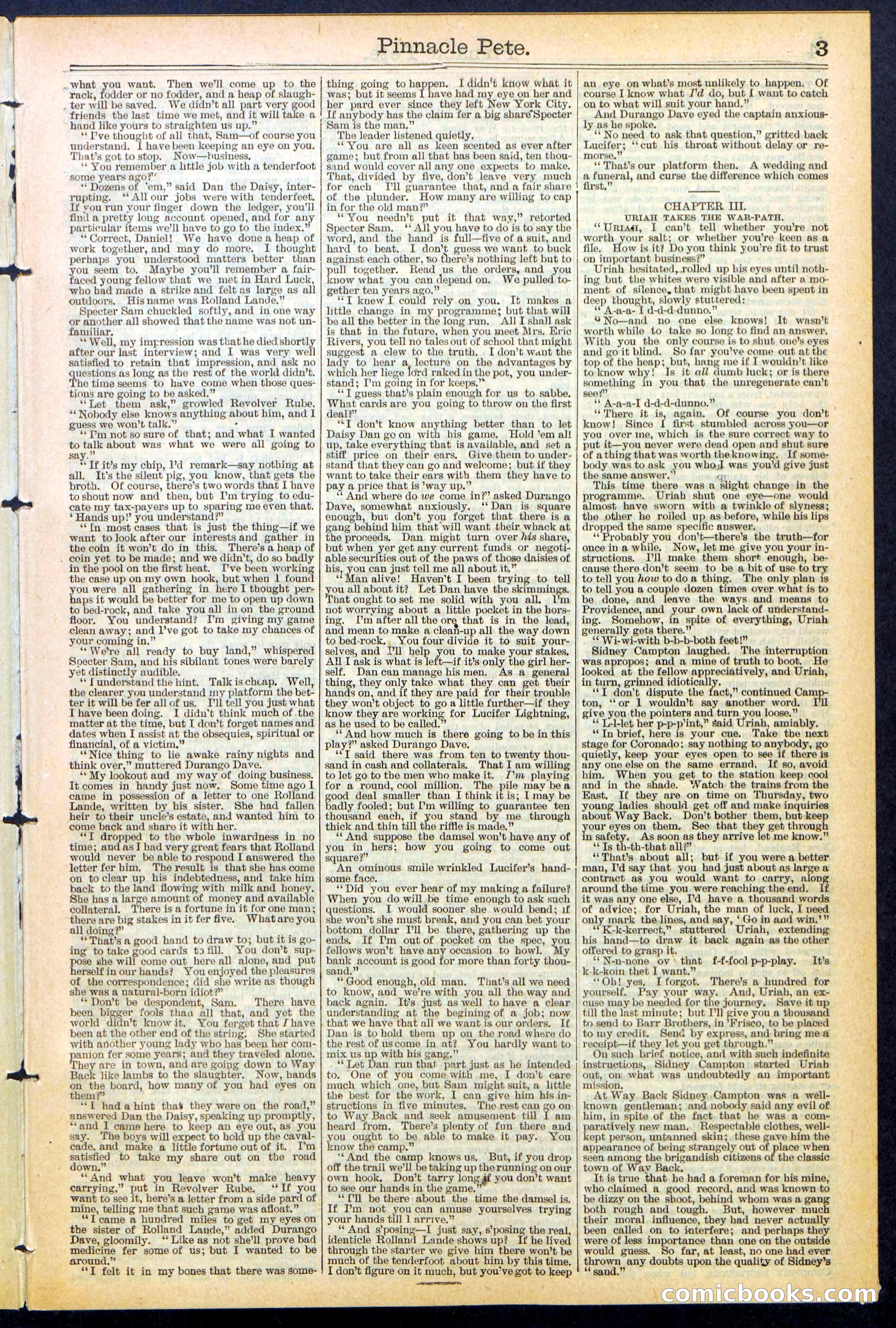 Beadle's New York Dime Library, No. 478 — page 3 of 32